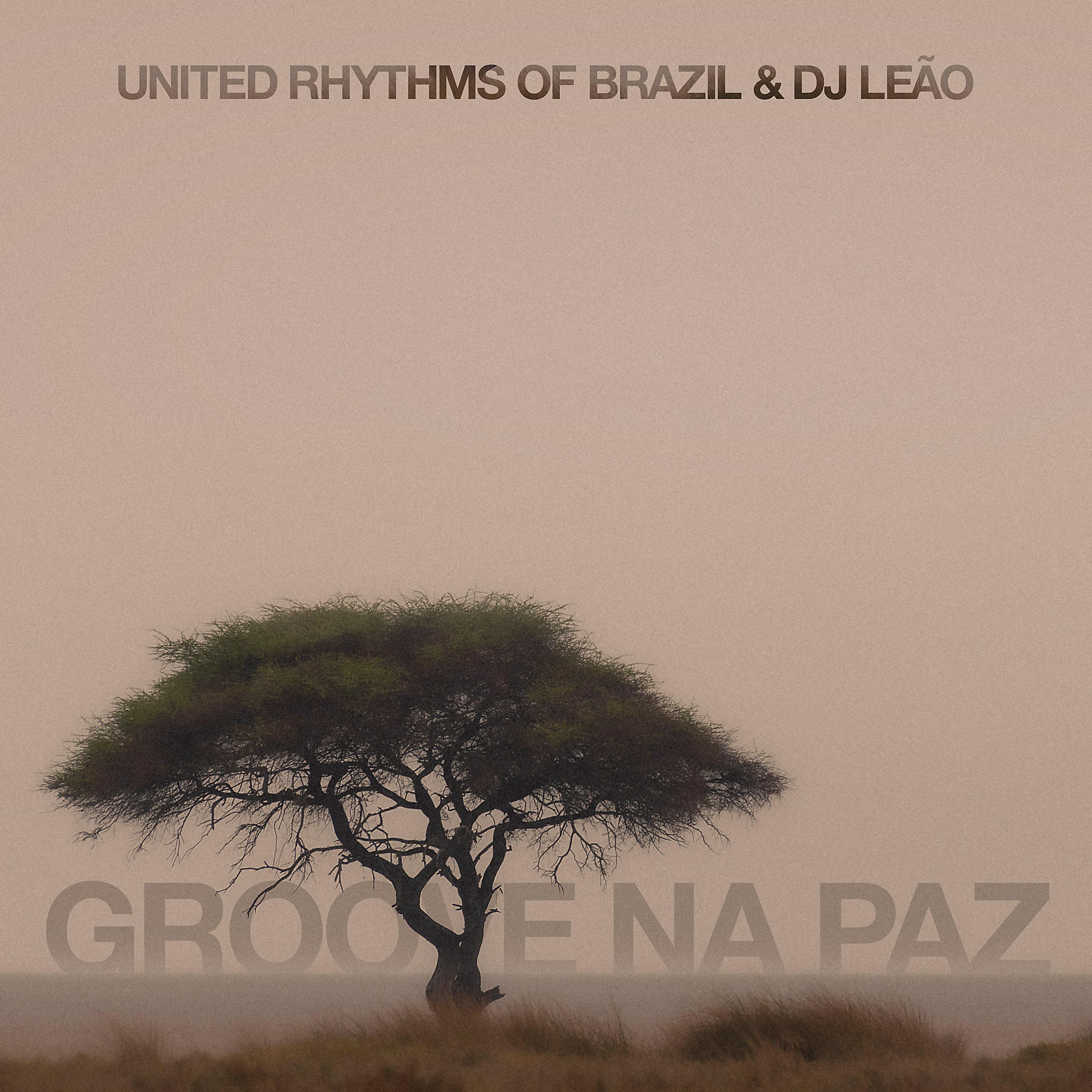 Постер альбома Groove Na Paz