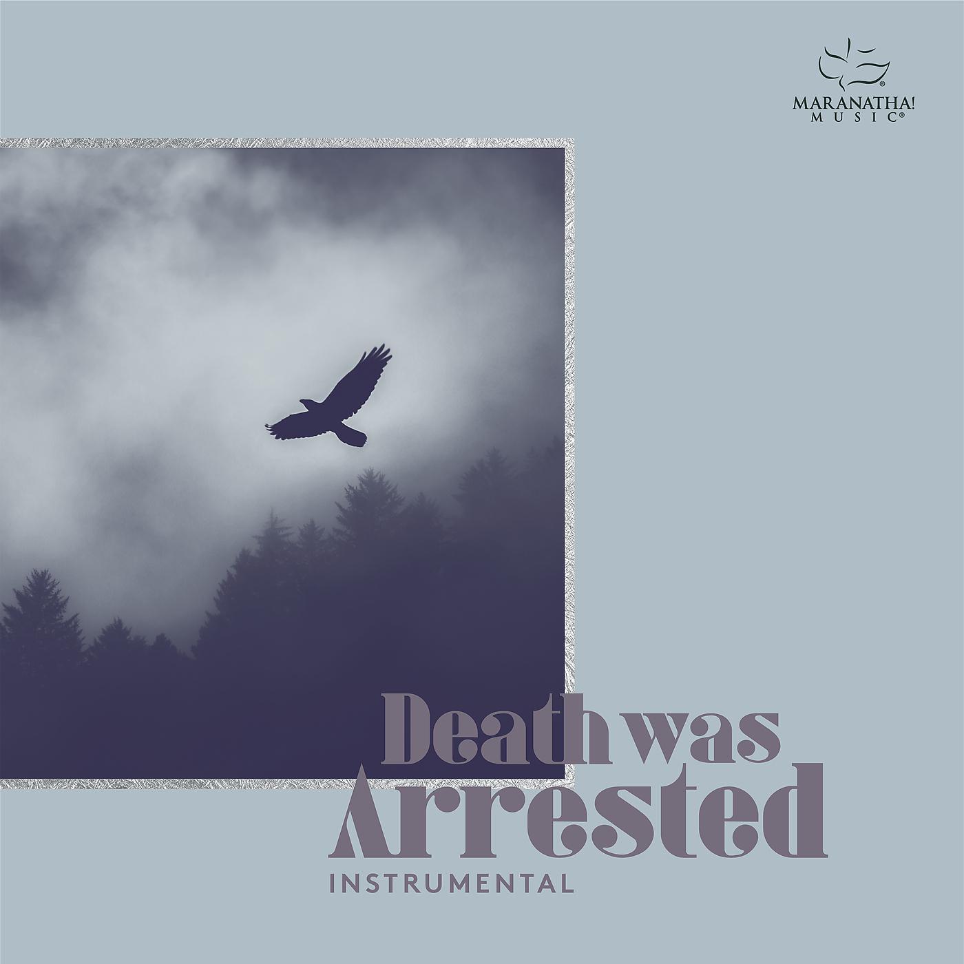 Постер альбома Death Was Arrested