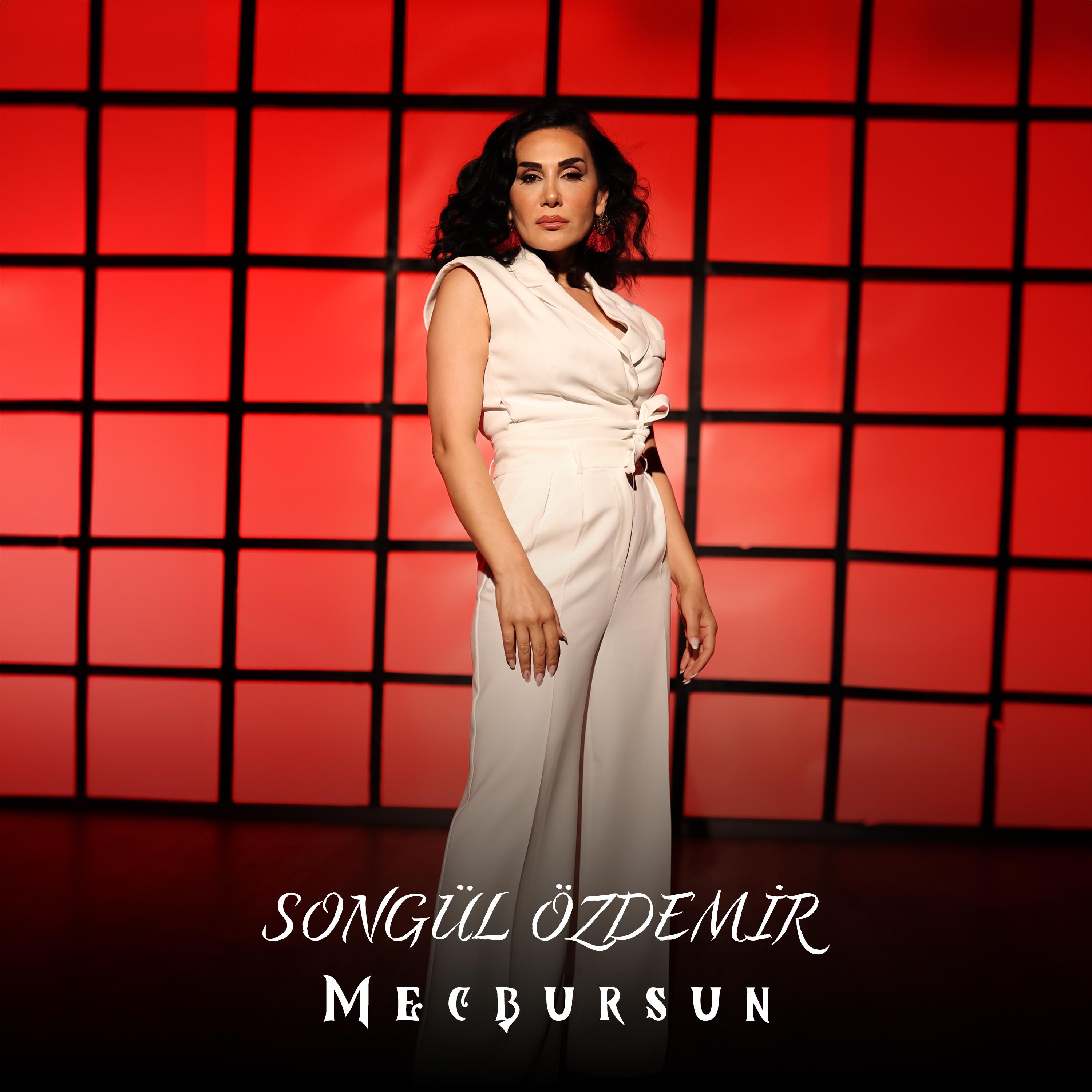 Постер альбома Mecbursun