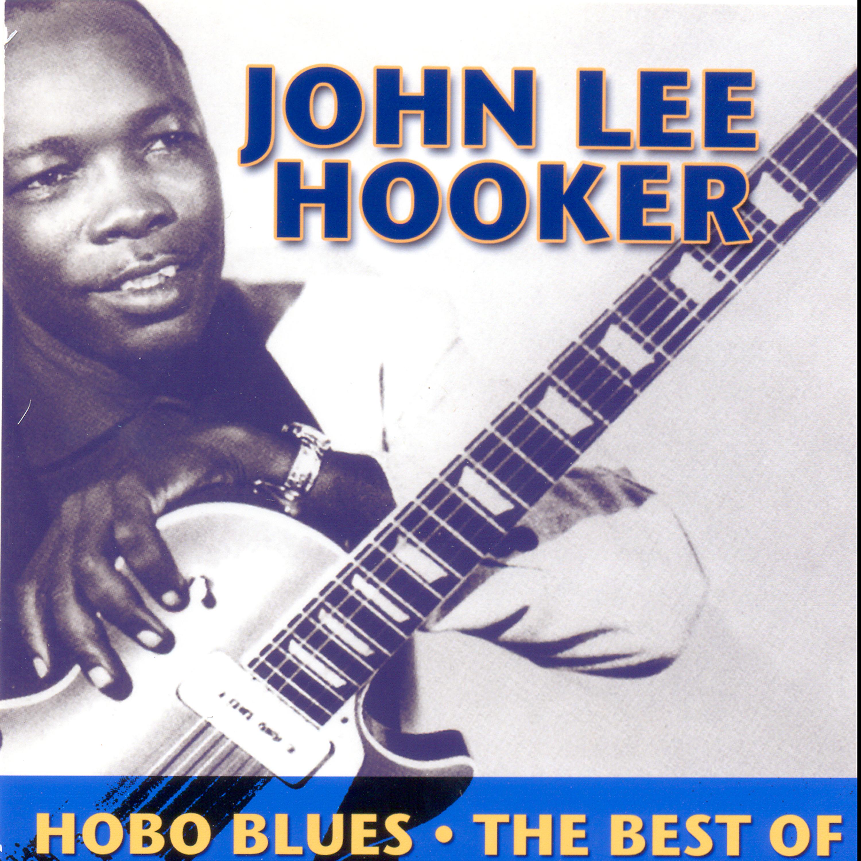 Постер альбома Hobo Blues - The Best Of