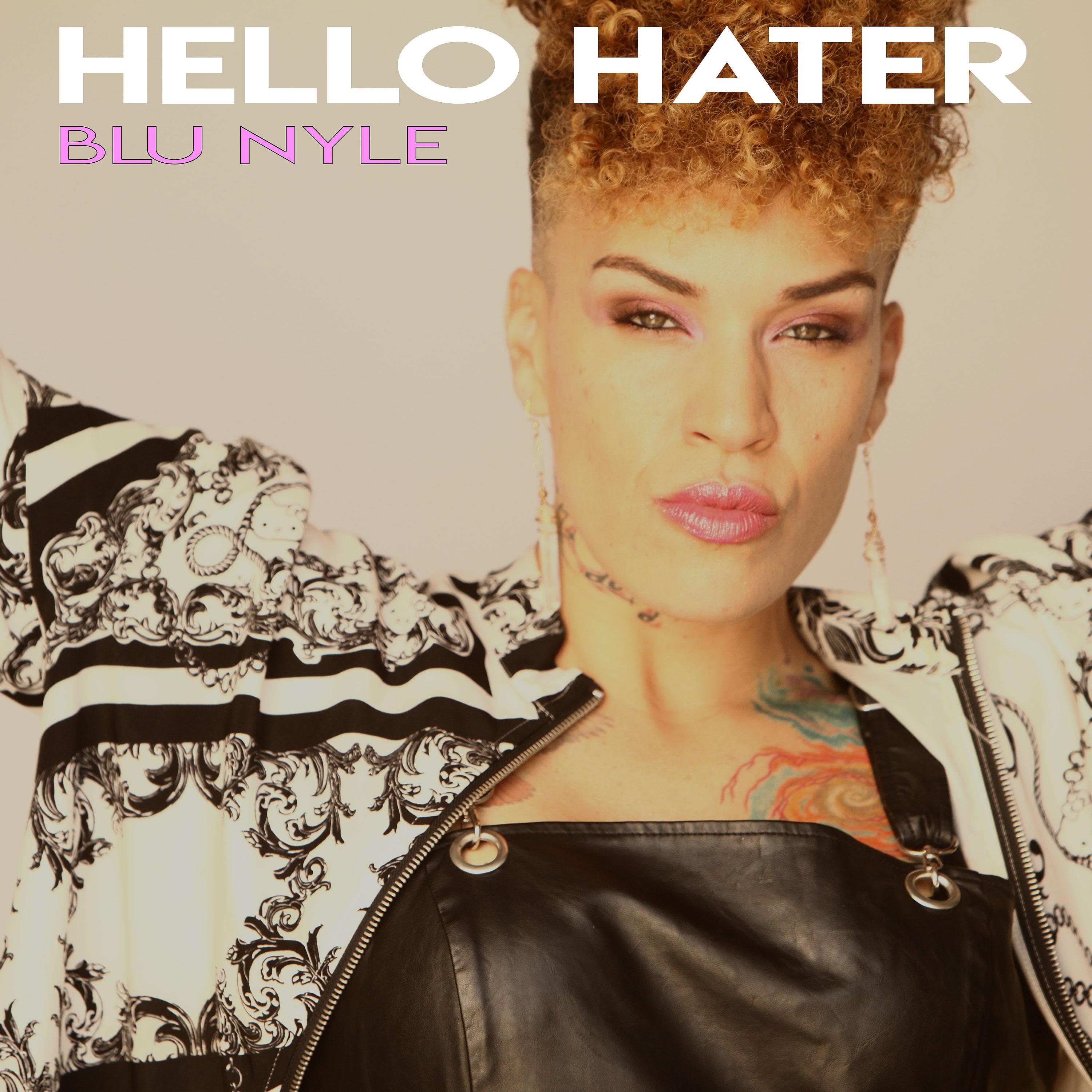 Постер альбома Hello Hater