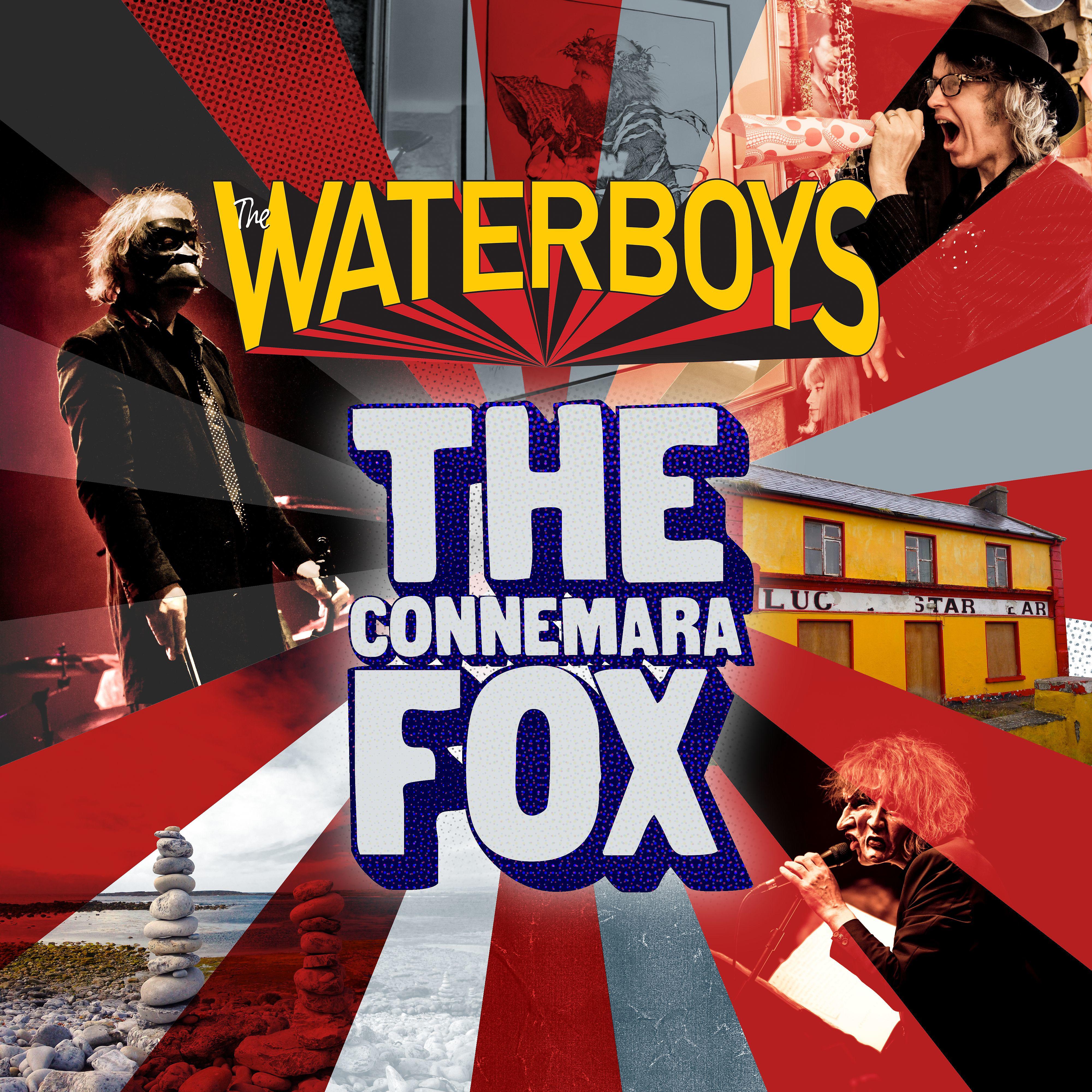 Постер альбома The Connemara Fox