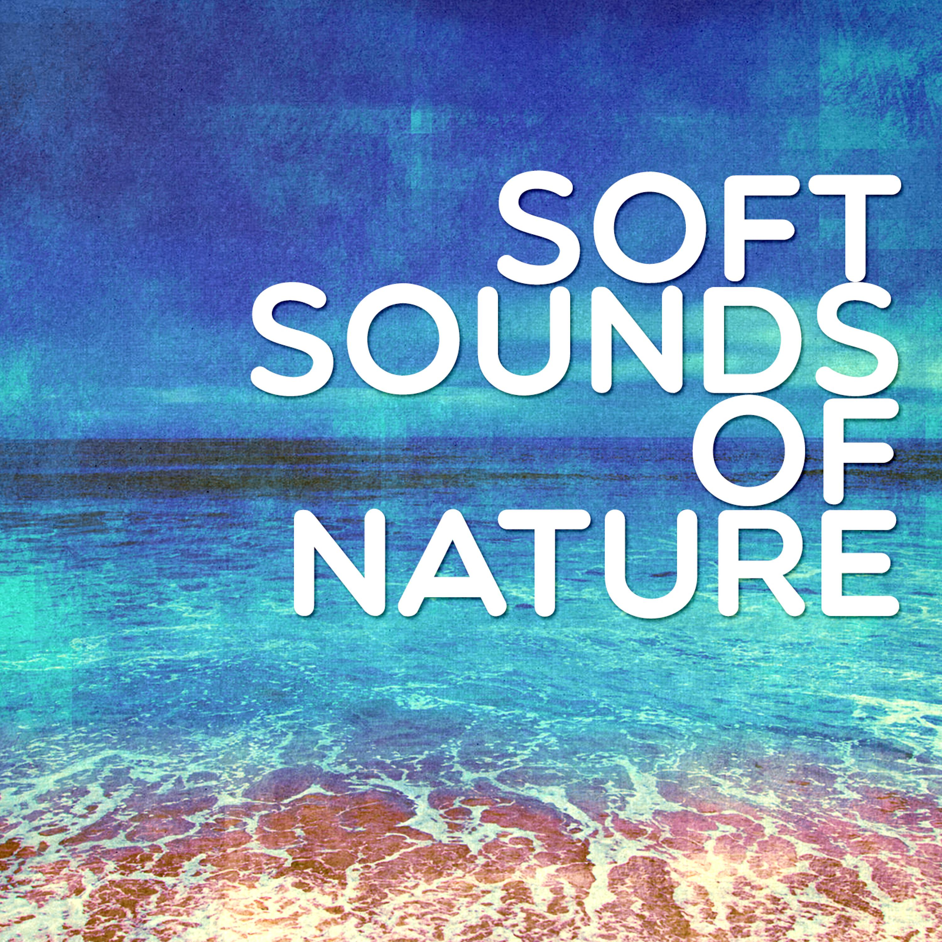 Постер альбома Soft Sounds of Nature