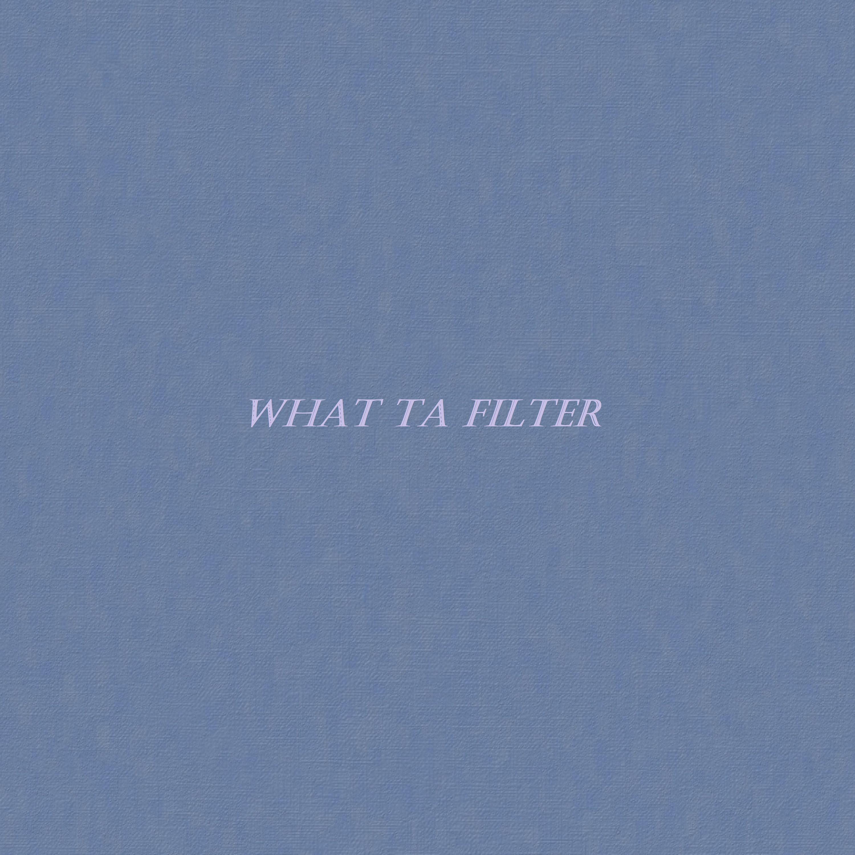 Постер альбома What ta Filter