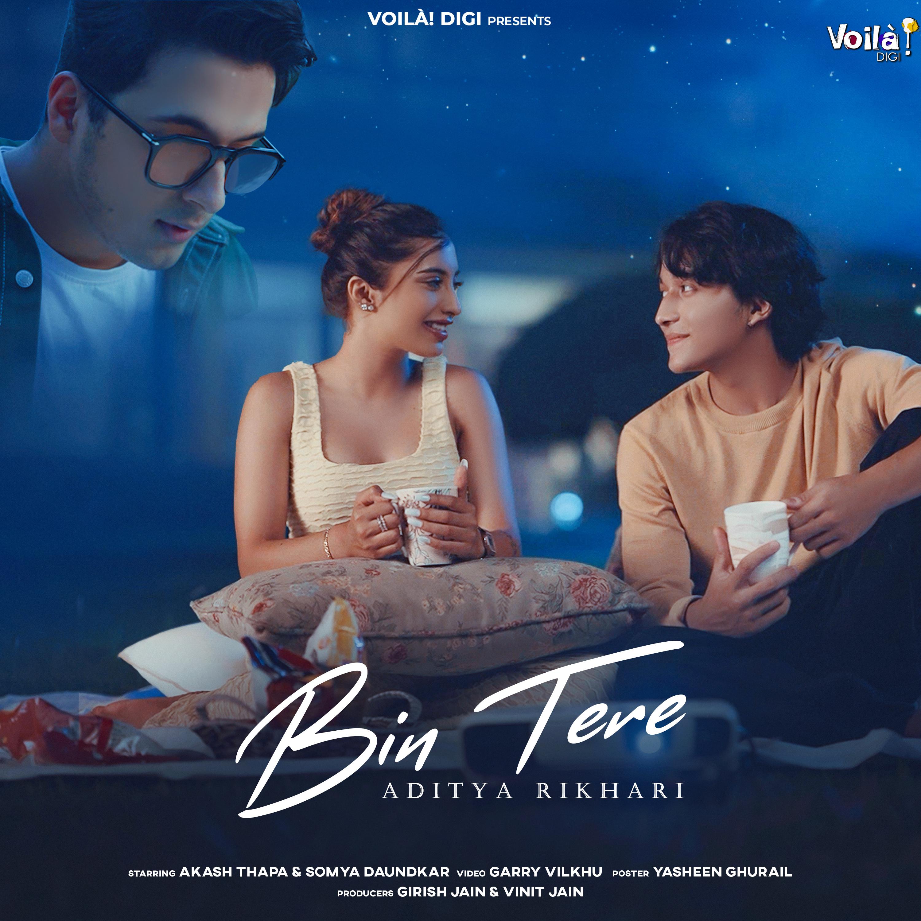 Постер альбома Bin Tere