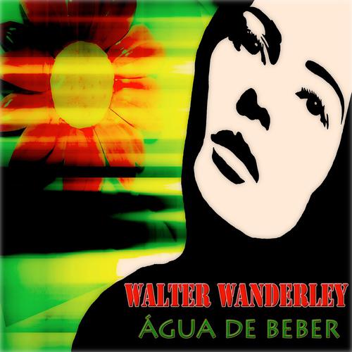 Постер альбома Água de Beber (45 Original Tracks Digitally Remastered)