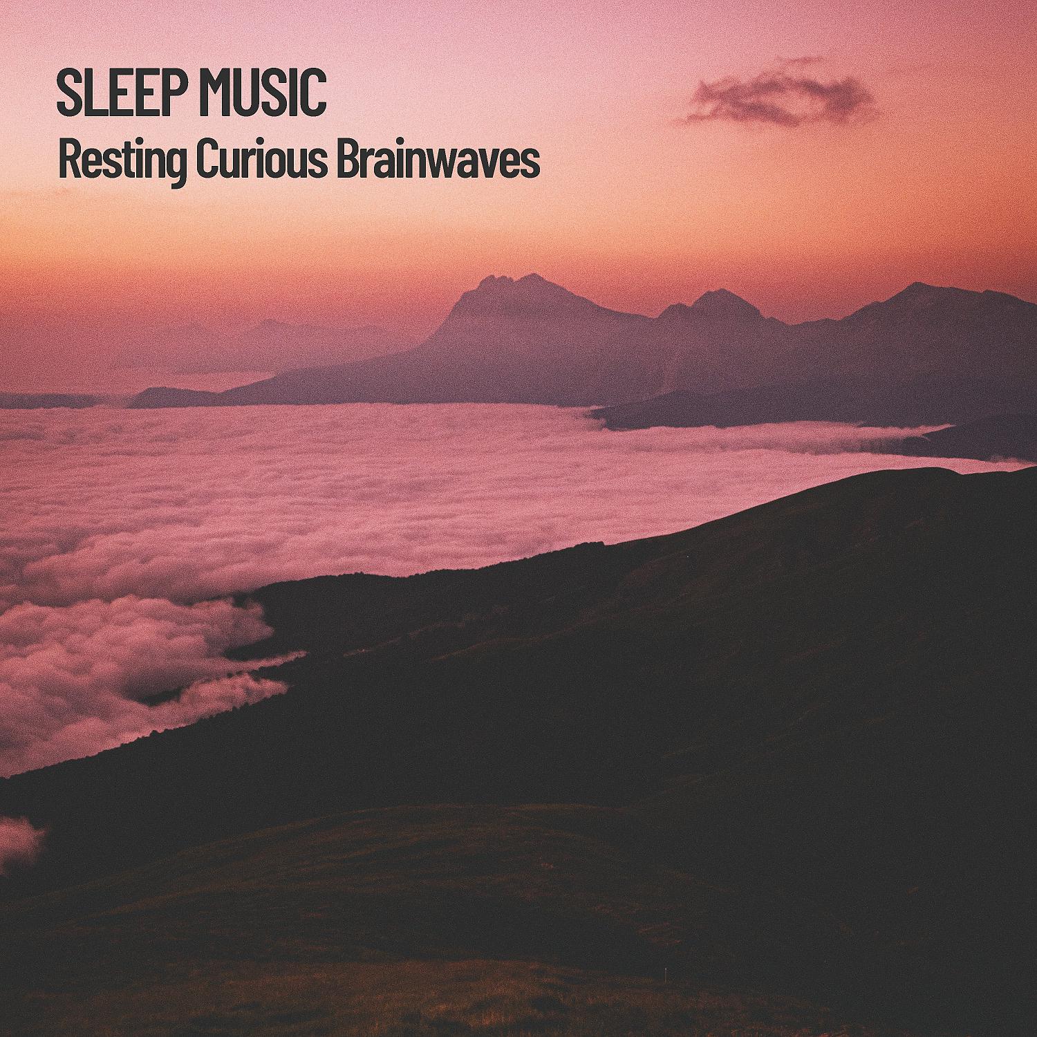 Постер альбома Sleep Music: Resting Curious Brainwaves