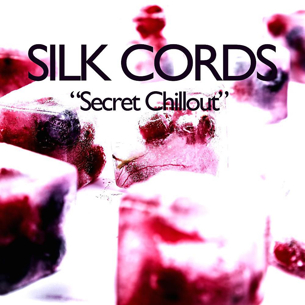 Постер альбома Secret Chillout