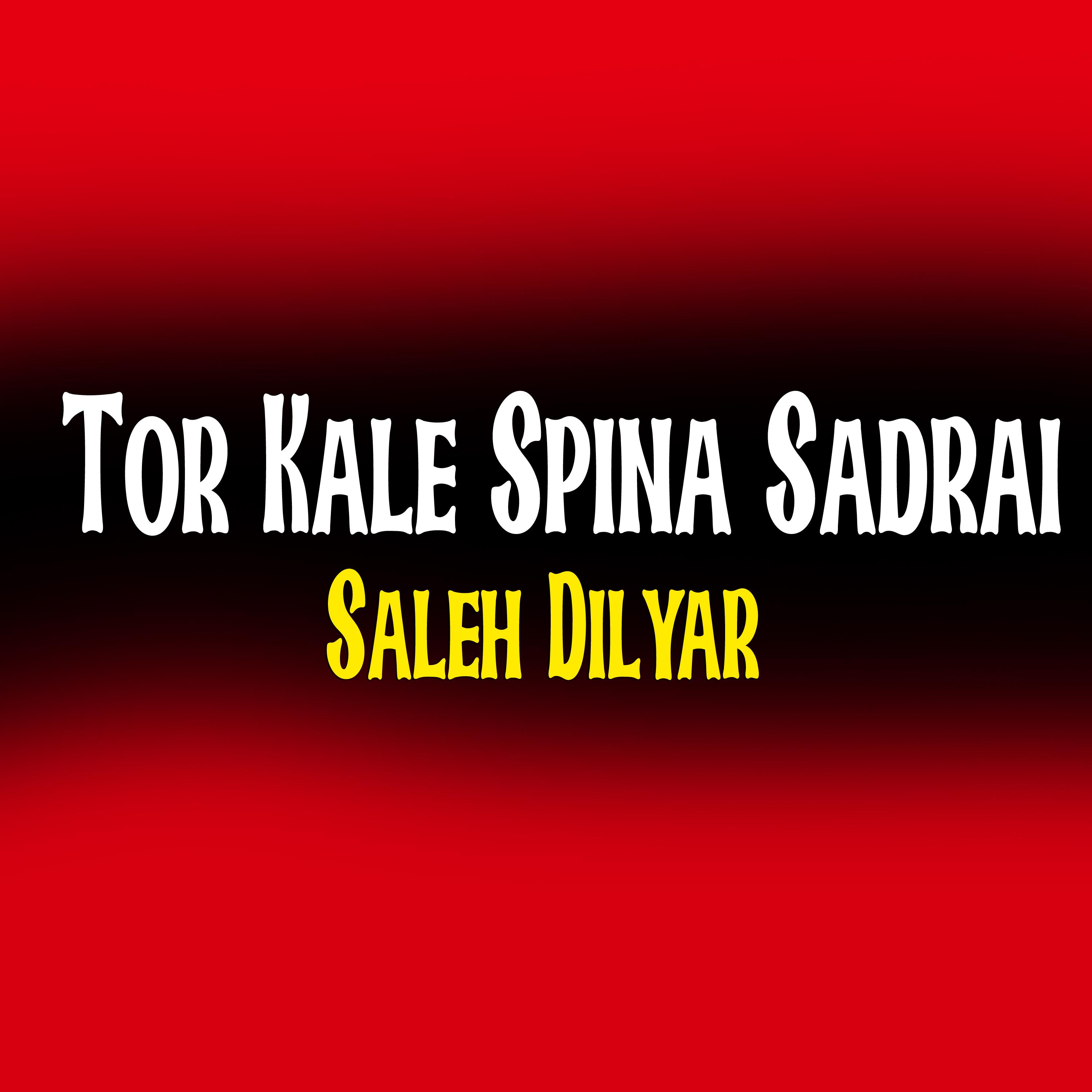 Постер альбома Tor Kale Spina Sadrai
