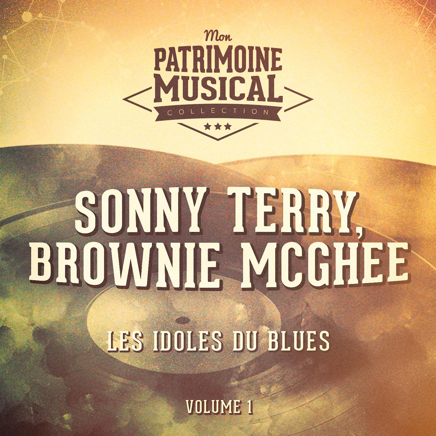 Постер альбома Les Idoles Du Blues: Sonny Terry Et Brownie McGhee, Vol. 1