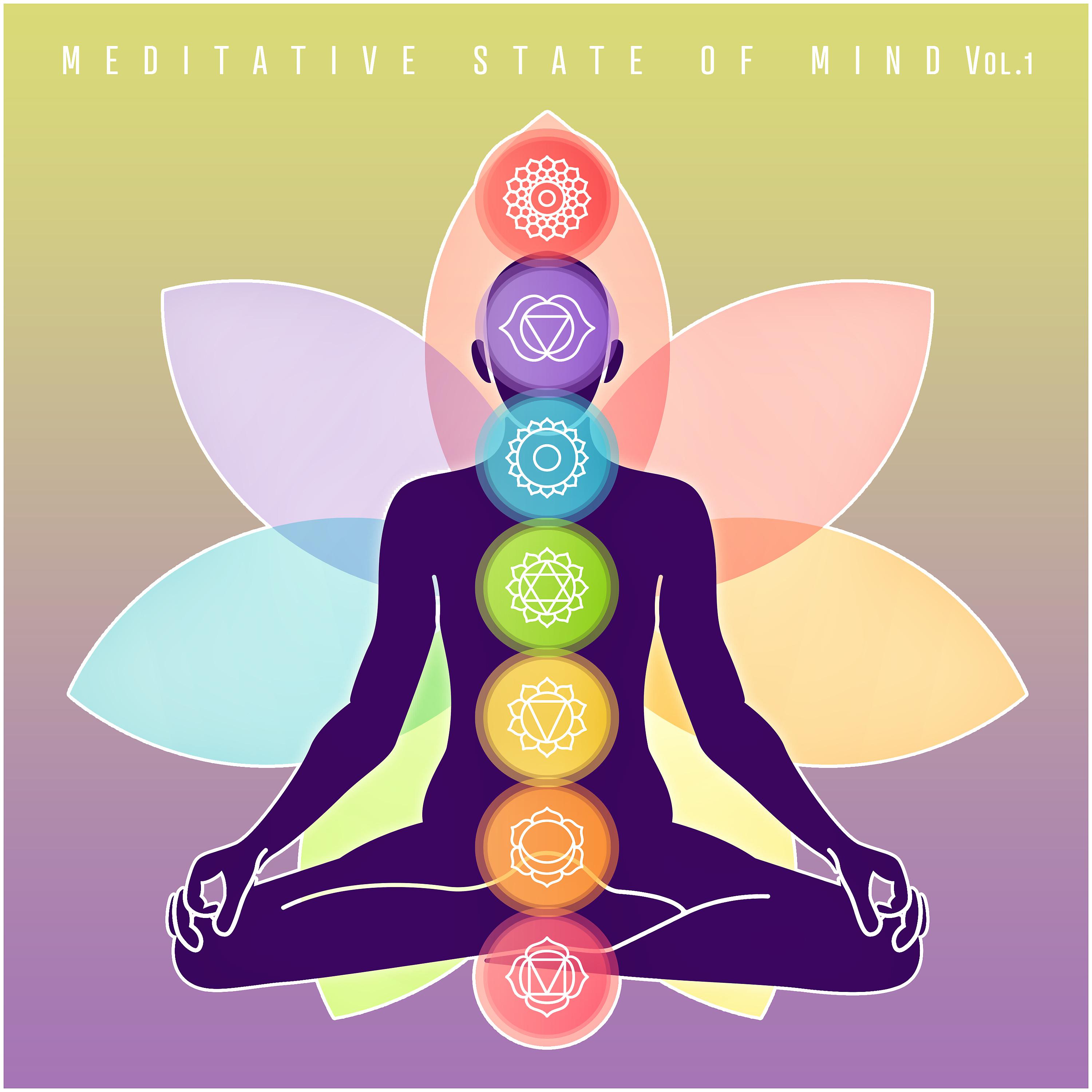 Постер альбома Meditative State of Mind, Vol.1