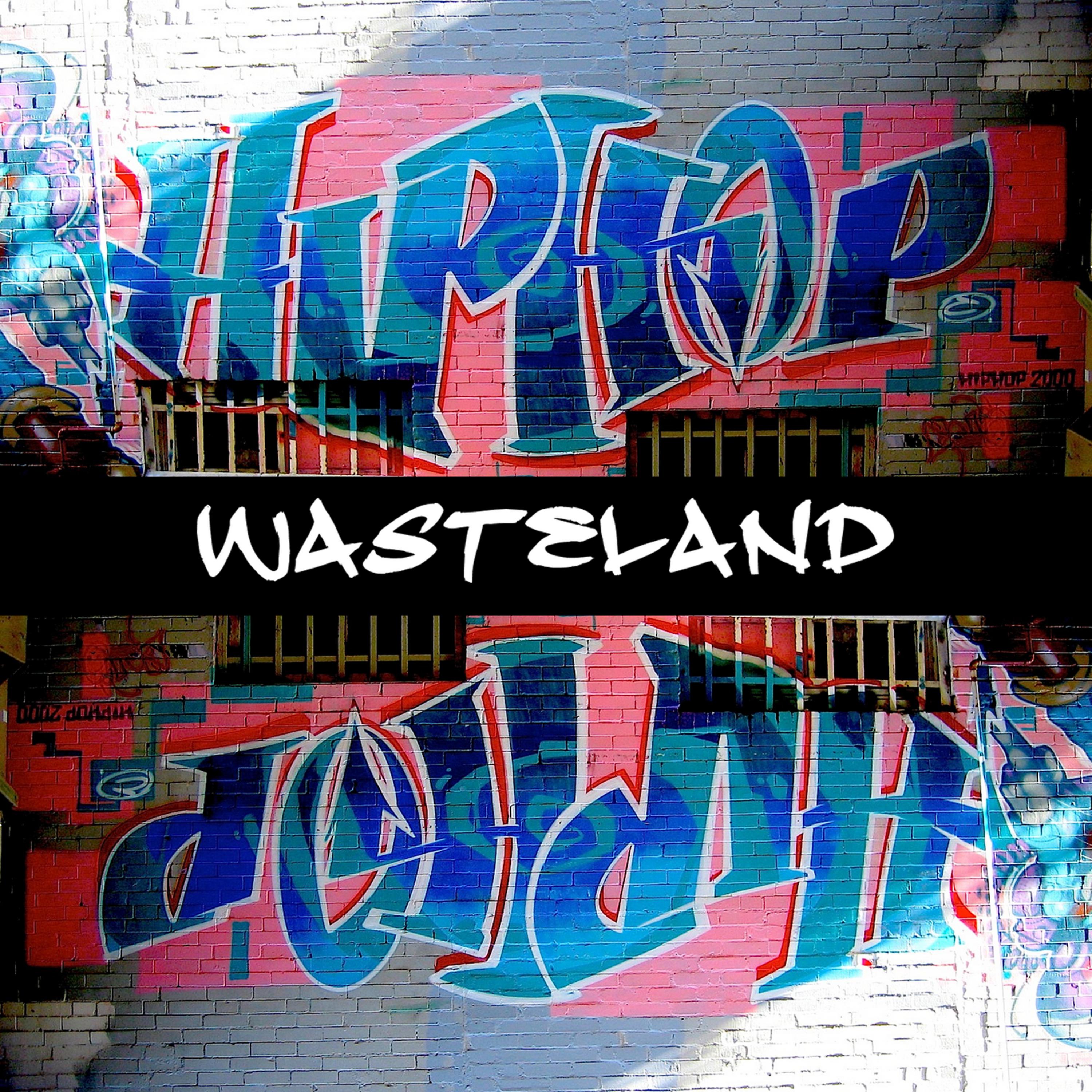 Постер альбома Hip-Hop Wasteland