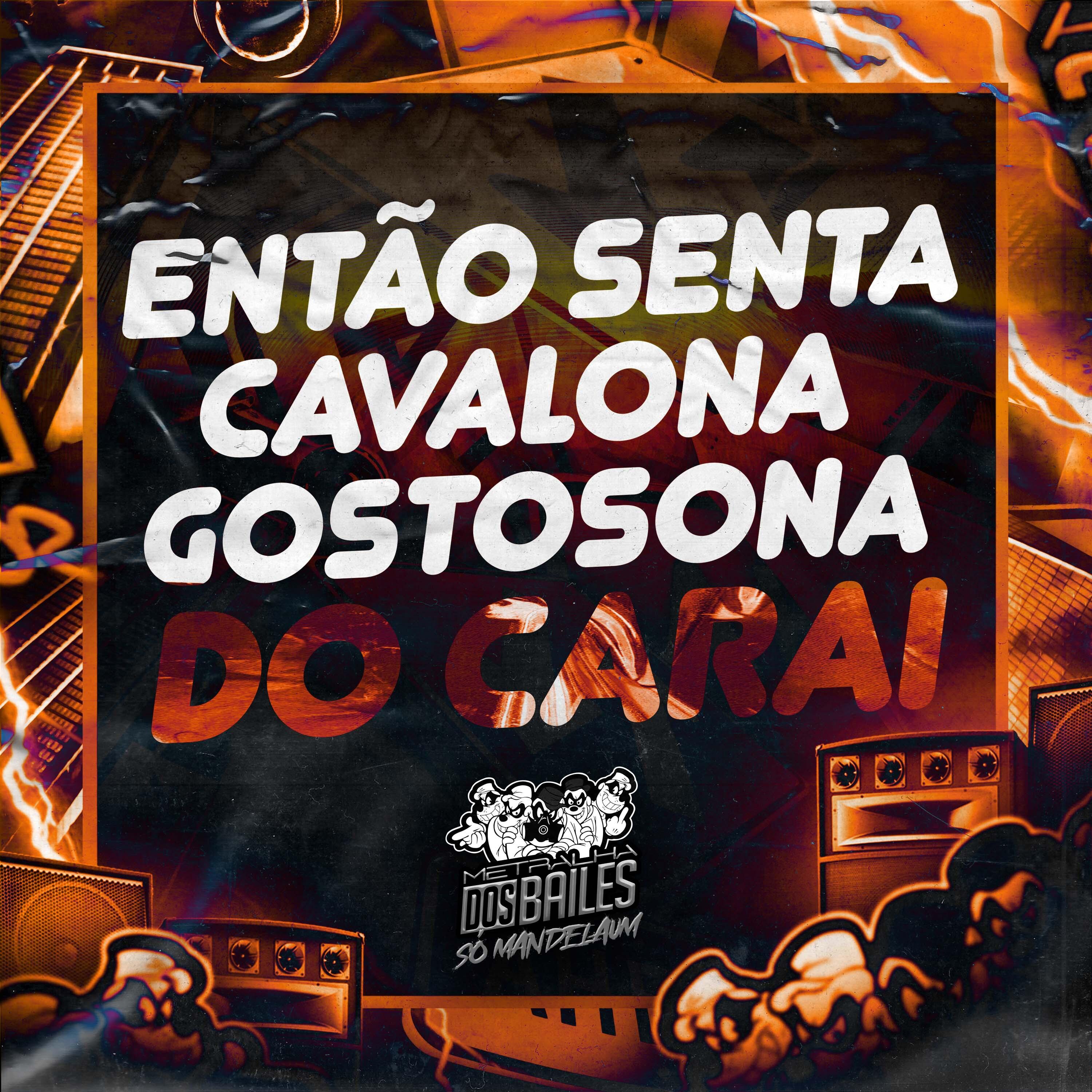 Постер альбома Então Senta Cavalona Gostosona do Carai