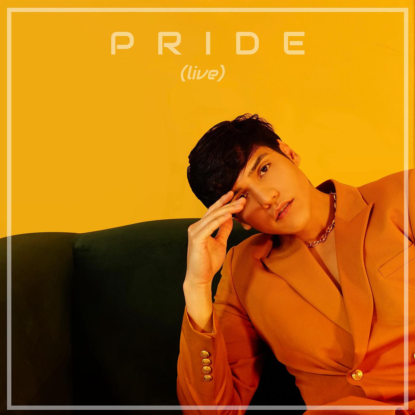 Постер альбома Pride (Live)