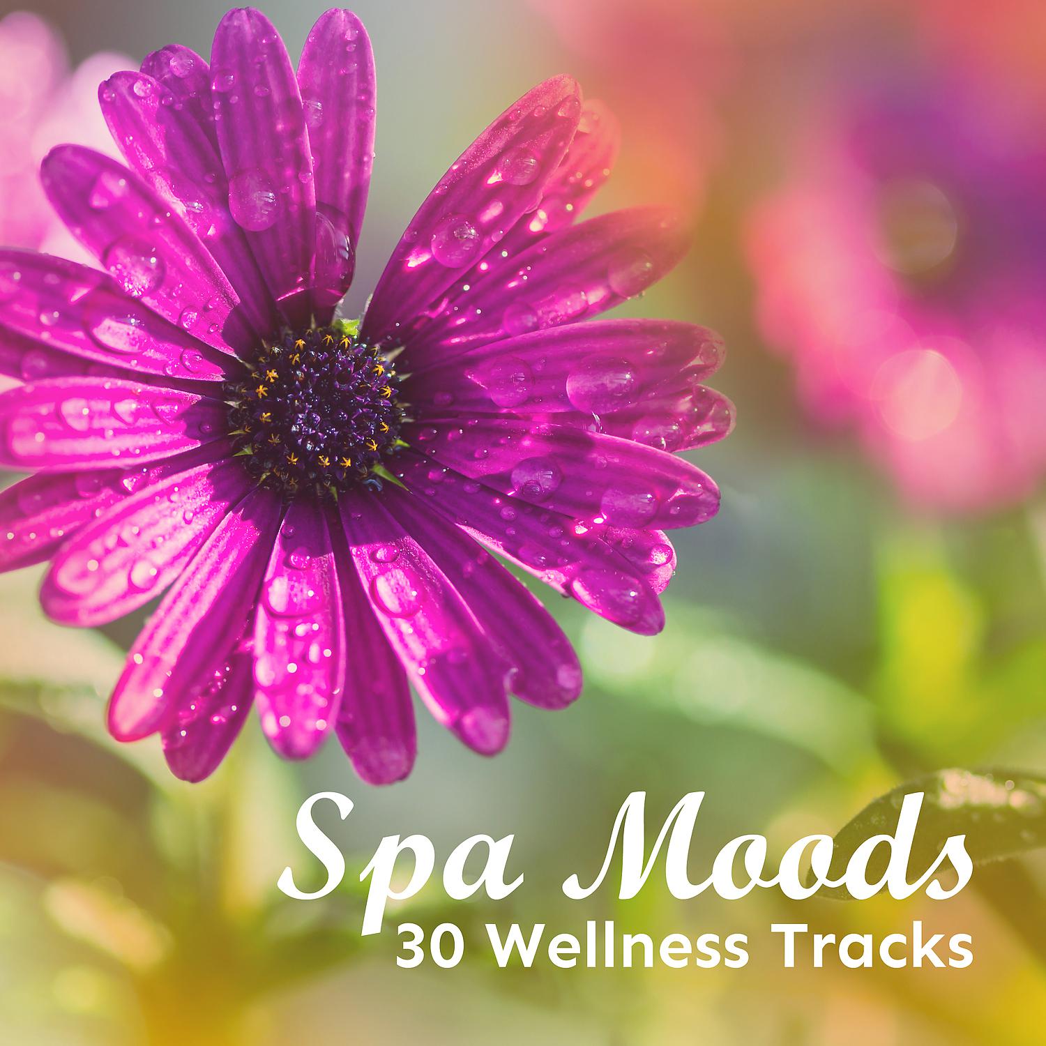 Постер альбома Spa Moods - 30 Wellness Tracks: New Age Rhythms of Deep Relaxation for Massage, Healing, Meditation, Beauty, Wellbeing