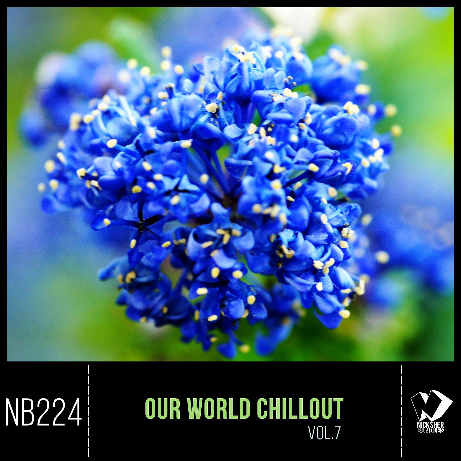 Постер альбома Our World Chillout, Vol. 7