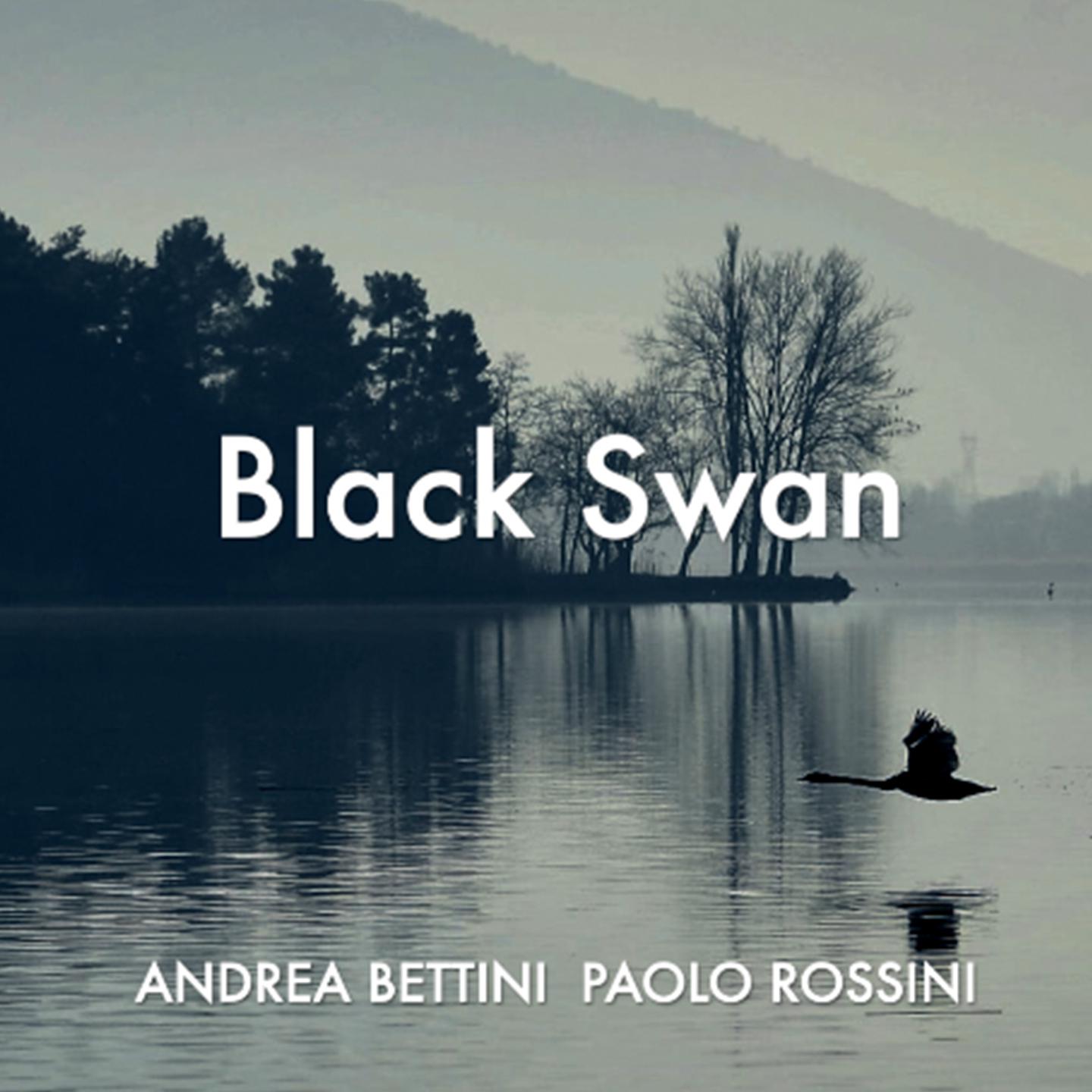 Постер альбома Black Swan