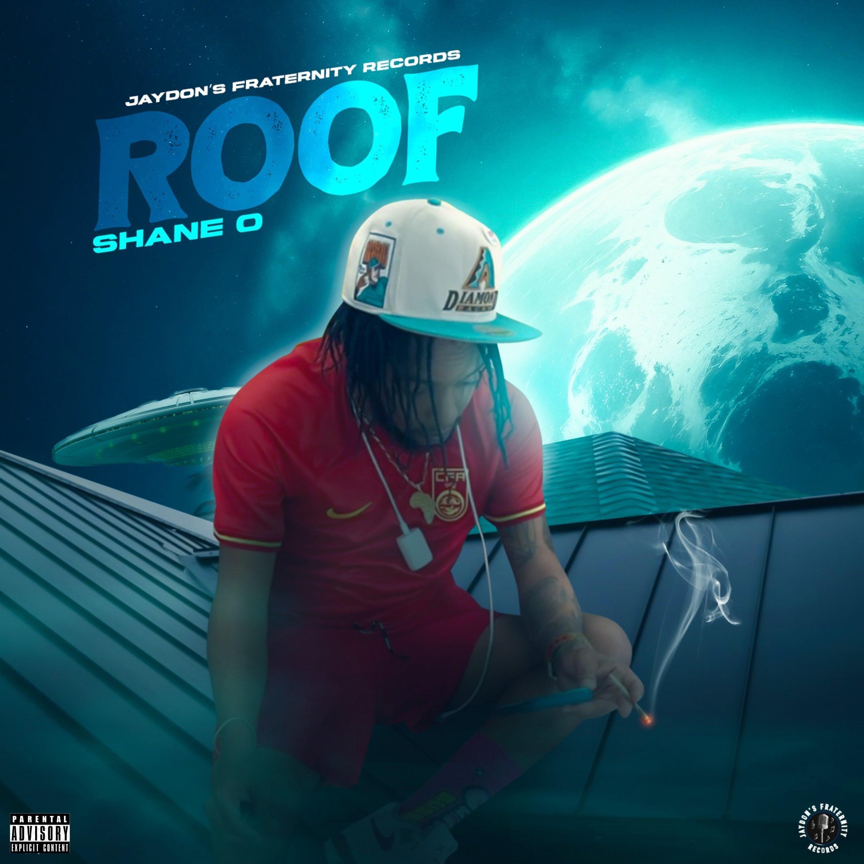 Постер альбома Roof