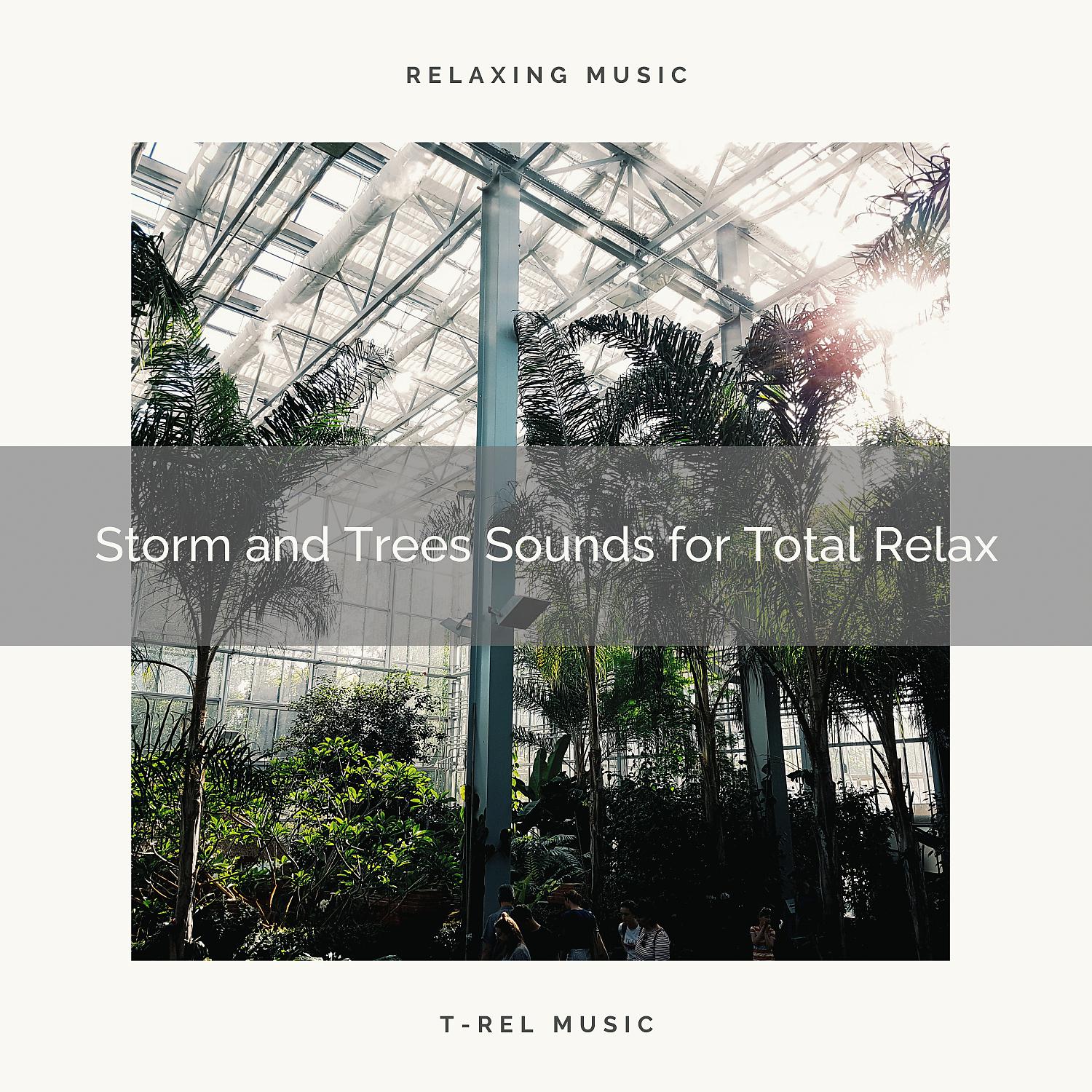 Постер альбома Storm and Trees Sounds for Total Relax