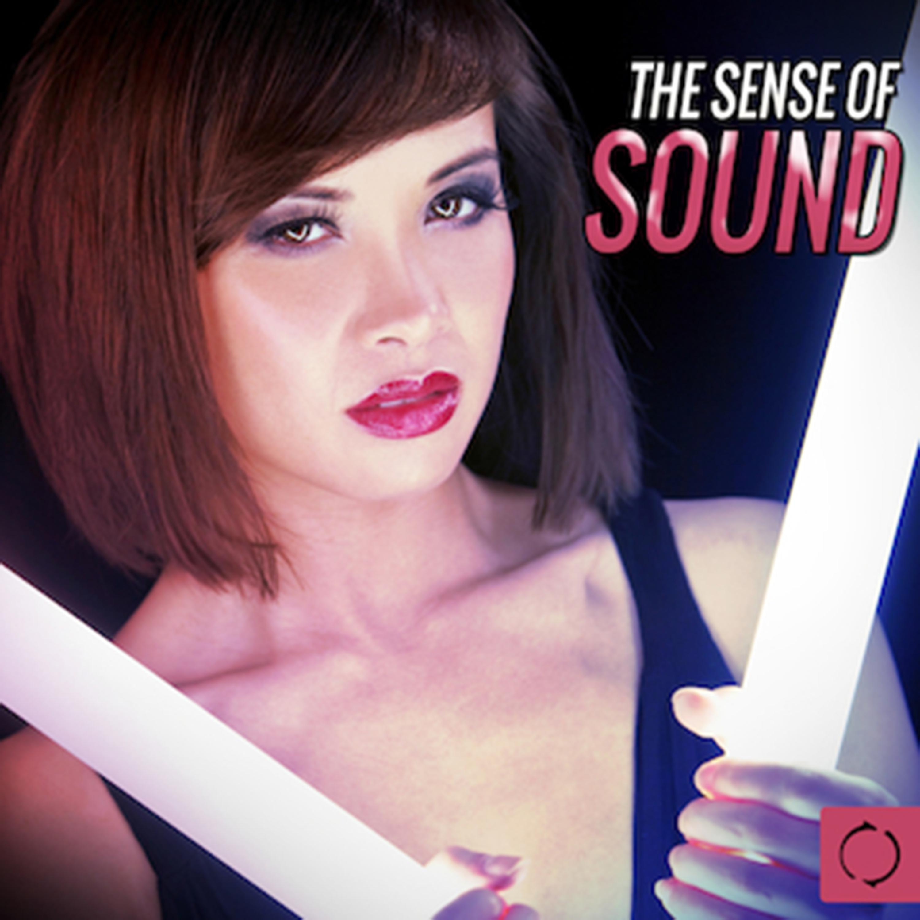 Постер альбома The Sense of Sound