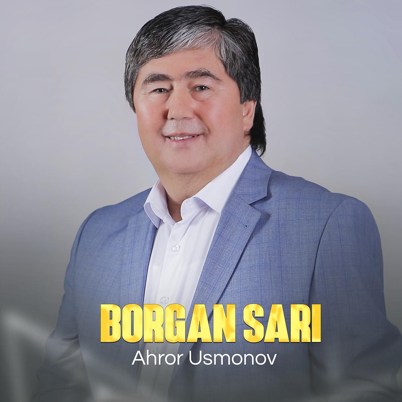 Постер альбома Borgan sari