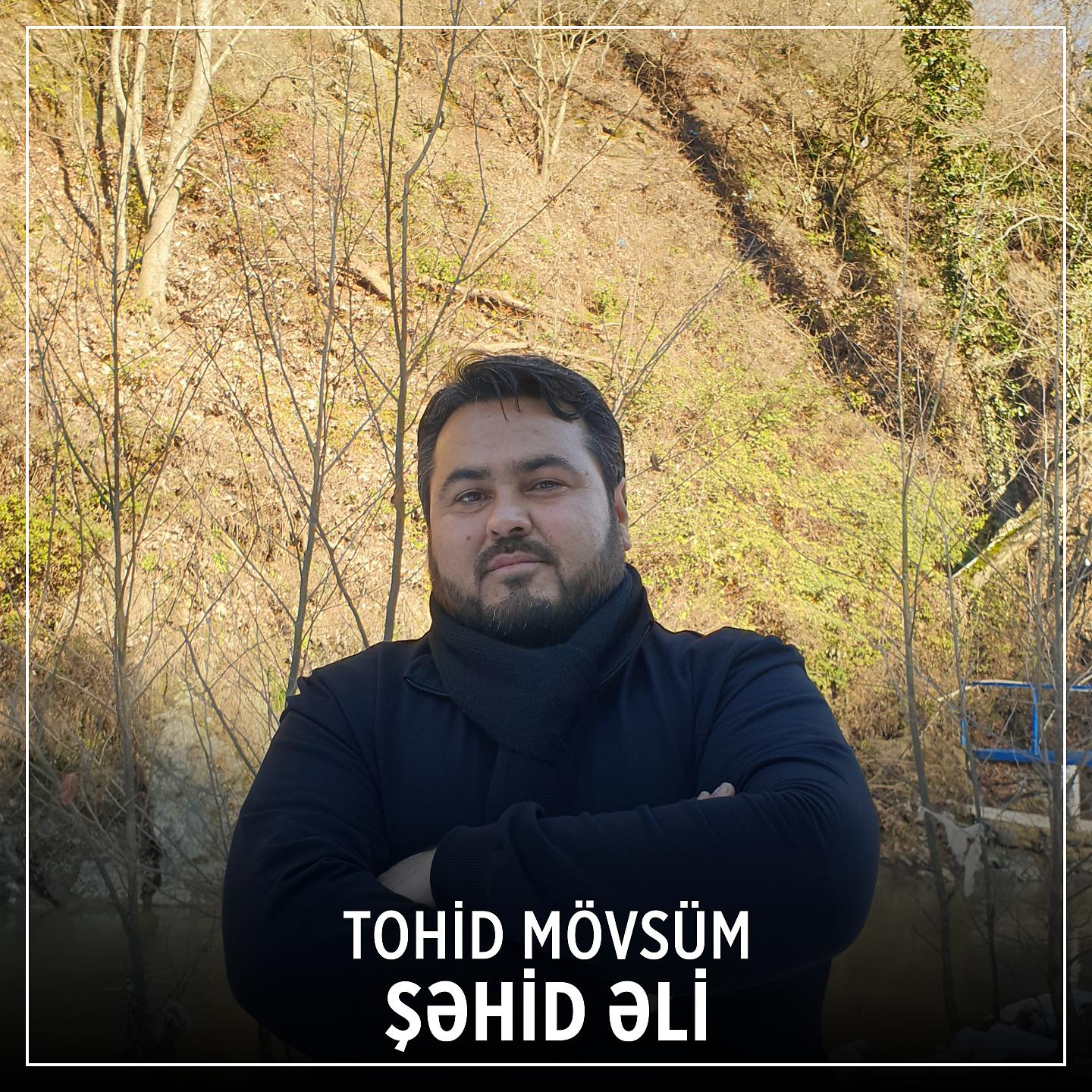Постер альбома Şəhid Əli
