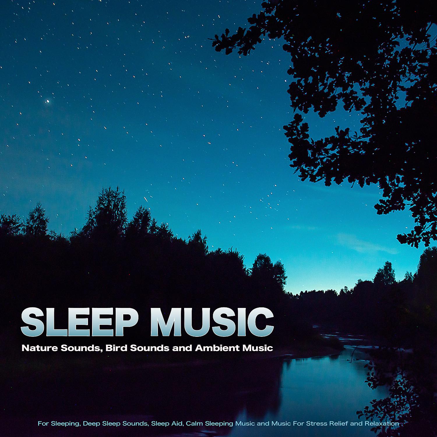Постер альбома Sleep Music: Nature Sounds, Bird Sounds and Ambient Music For Sleeping, Deep Sleep Sounds, Sleep Aid, Calm Sleeping Music and Music For Stress Relief and Relaxation
