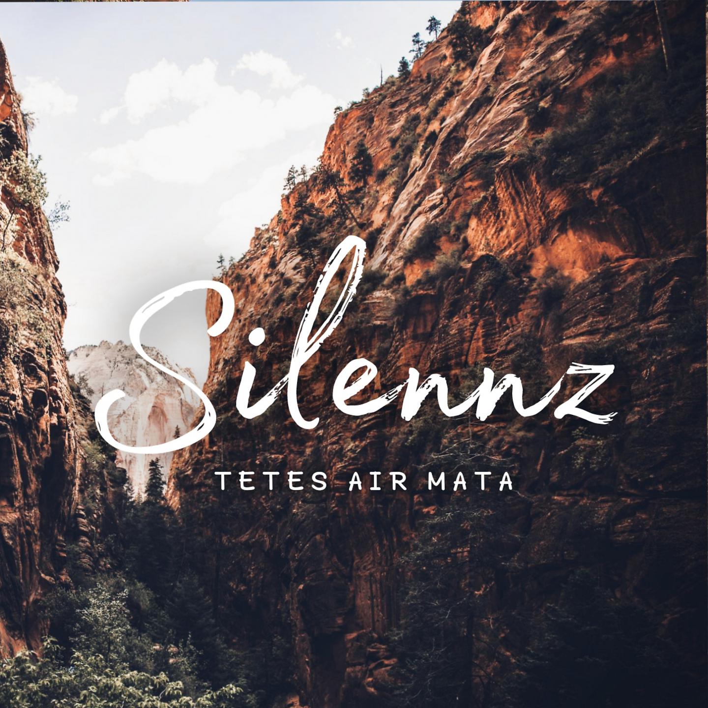 Постер альбома Tetes Air Mata