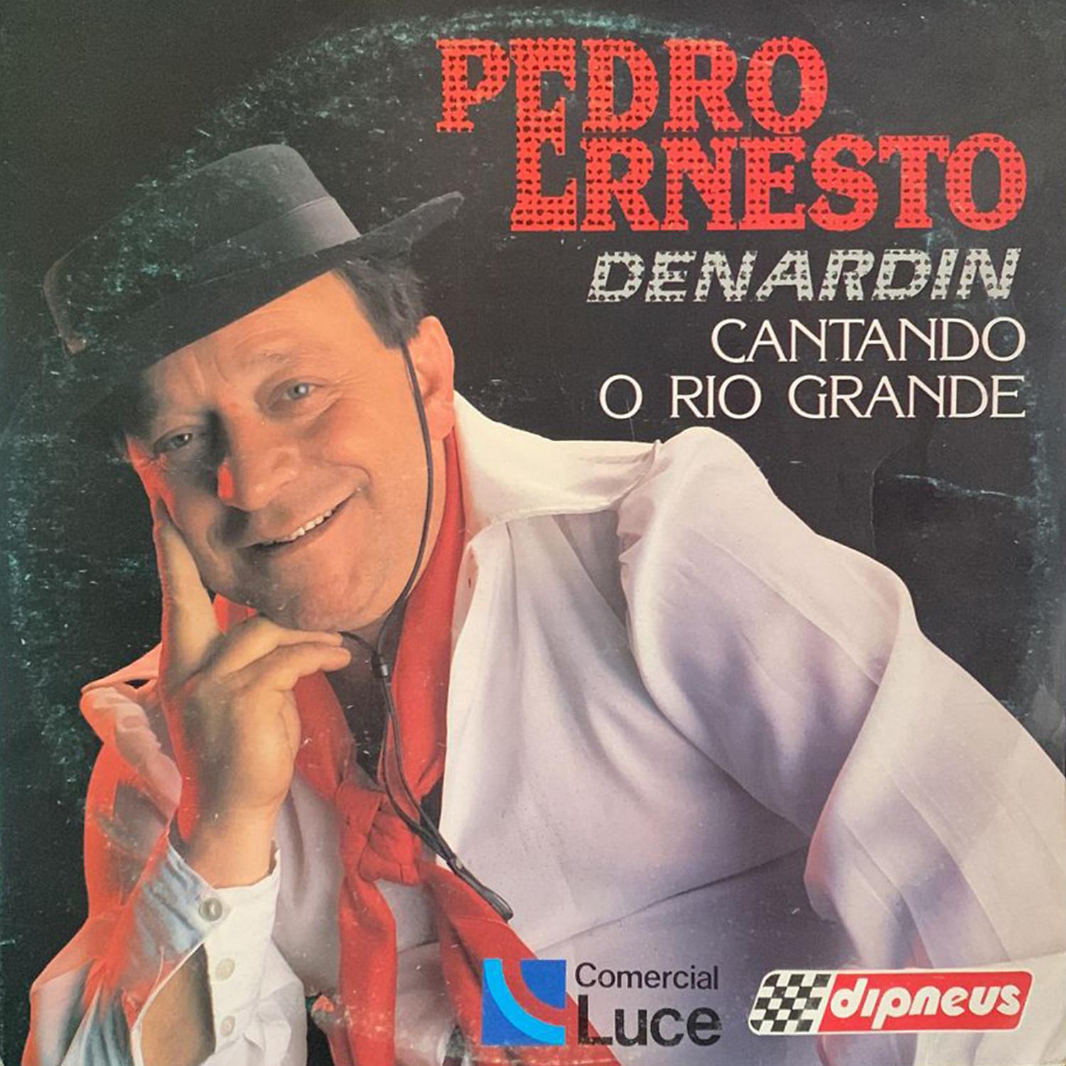 Постер альбома Cantando o Rio Grande