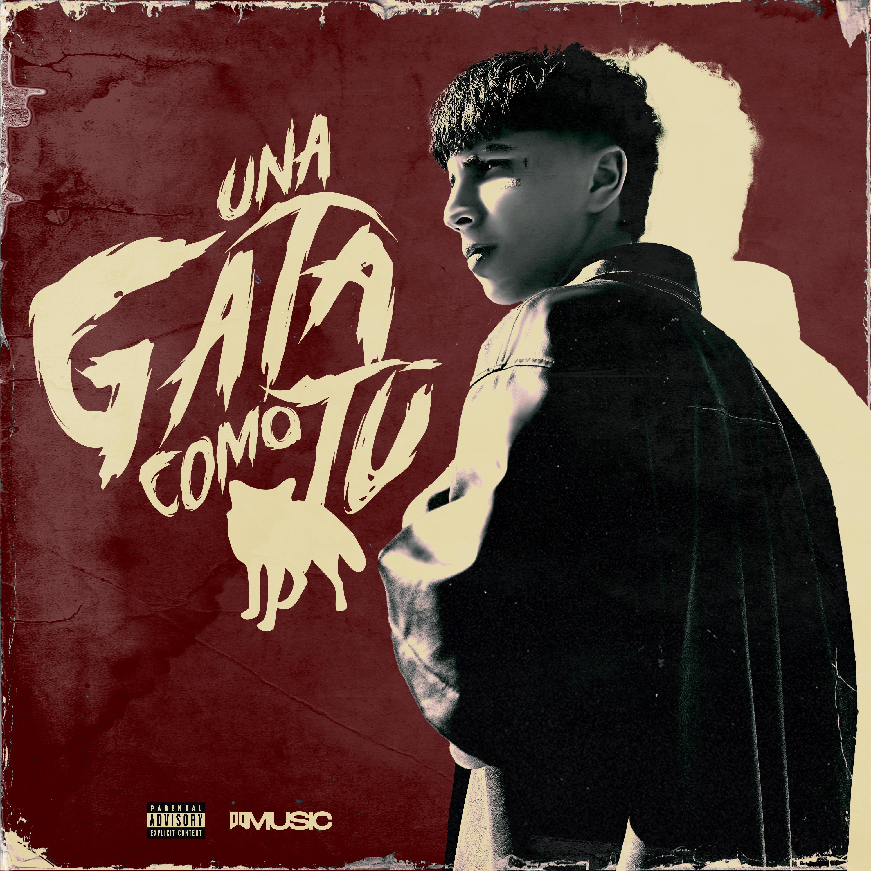 Постер альбома Una Gata Como Tú