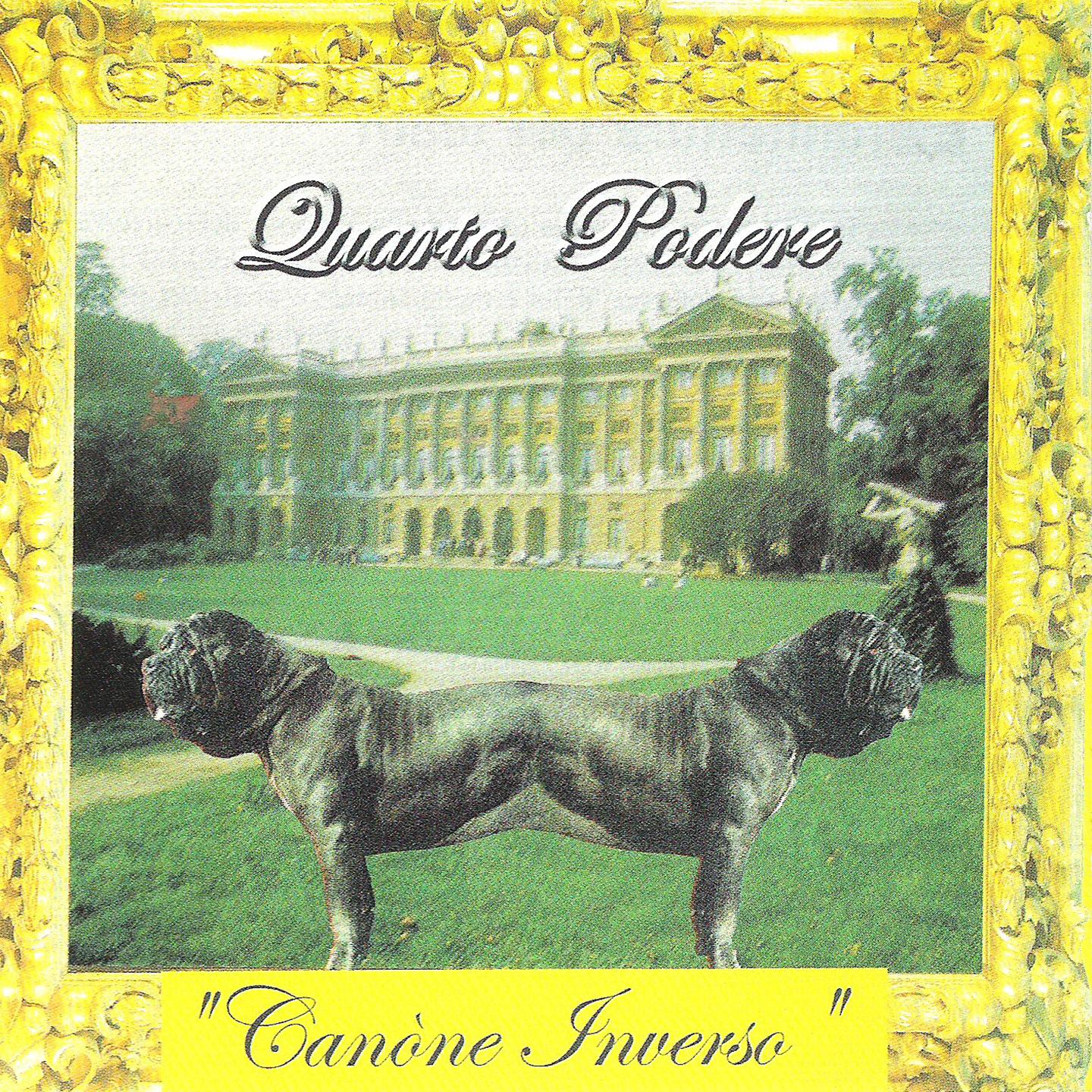 Постер альбома Canòne inverso