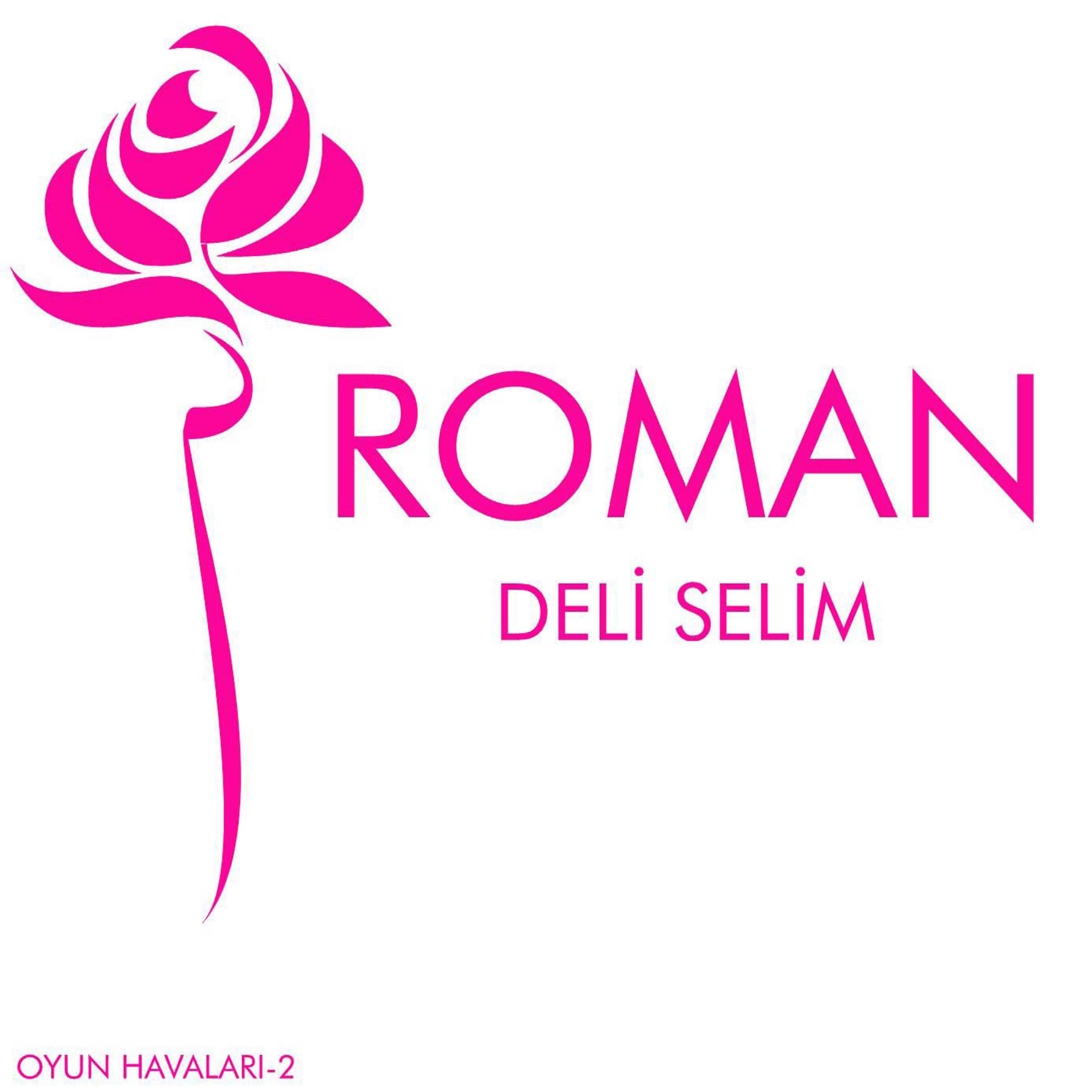 Постер альбома Roman 2
