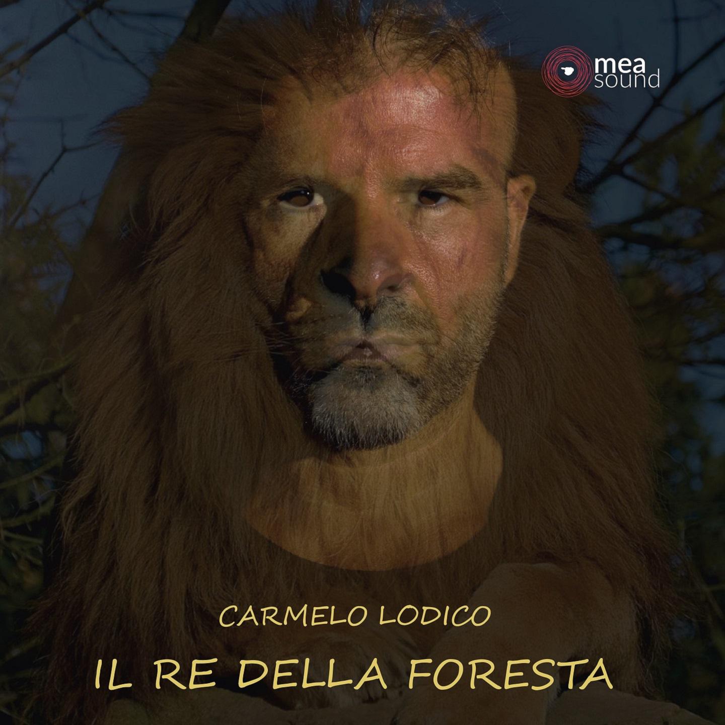 Постер альбома Il re della foresta