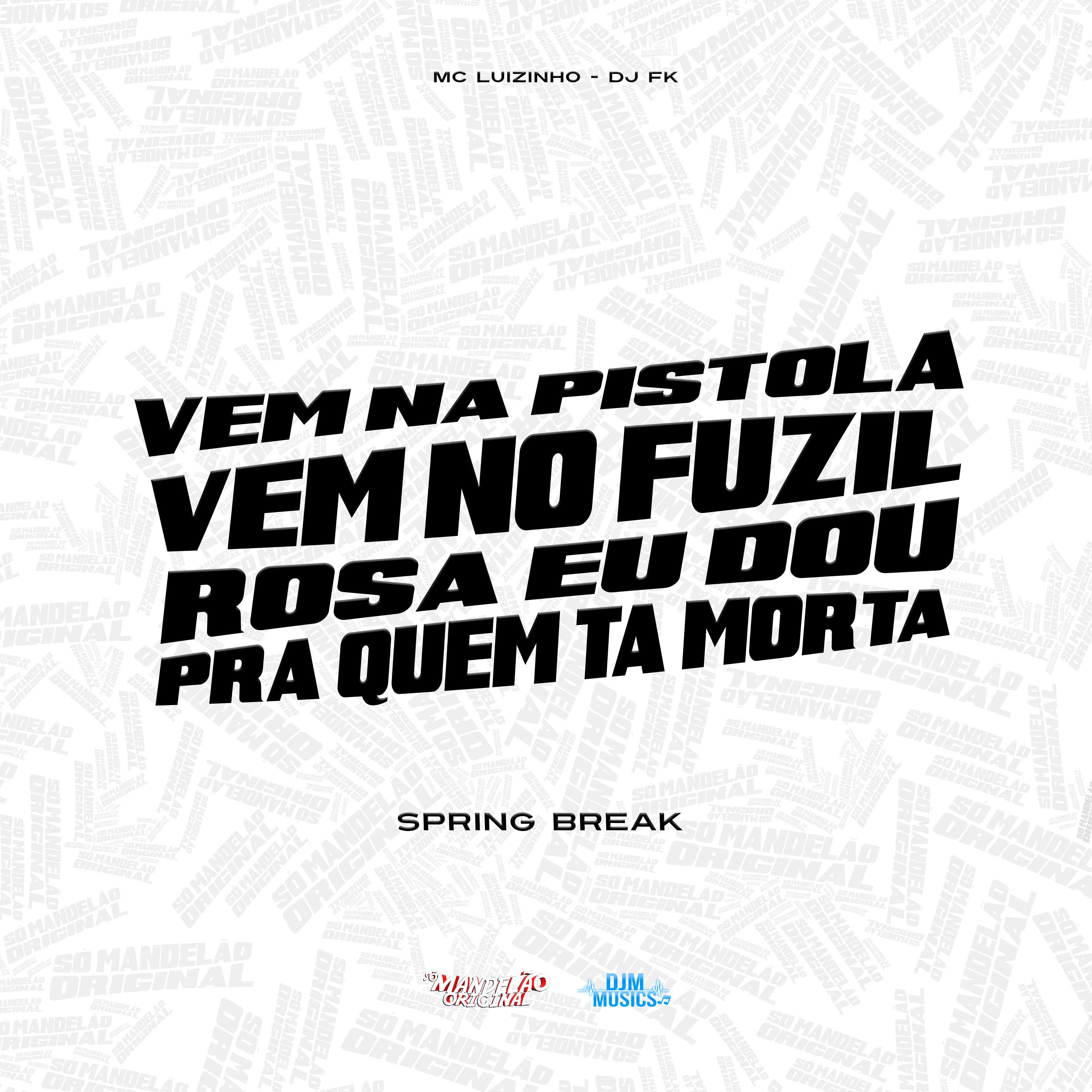 Постер альбома Vem na Pistola Vem no Fuzil, Rosa Eu Dou pra Quem Ta Morta