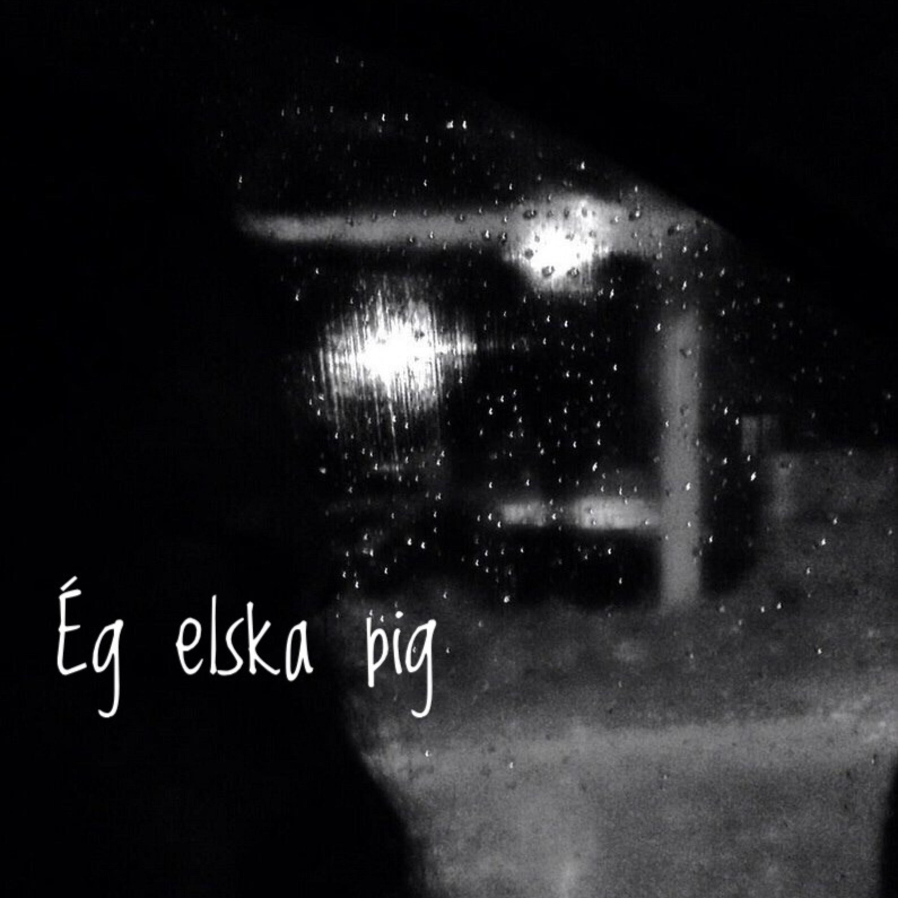 Постер альбома Ég Elska þig