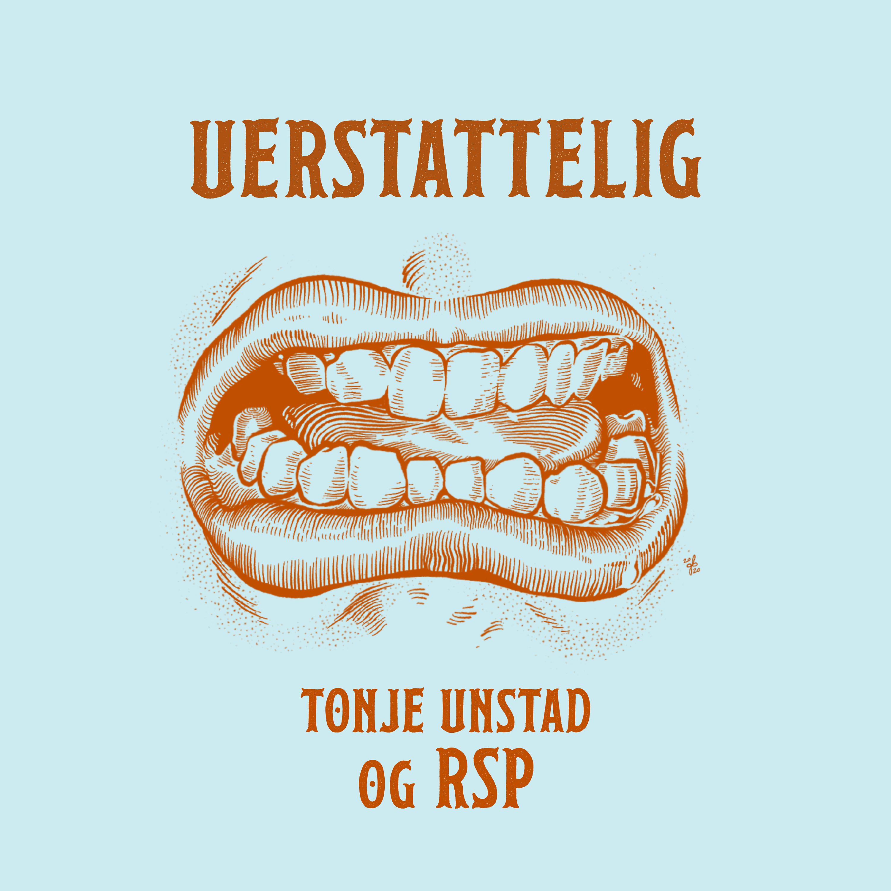 Постер альбома Uerstattelig
