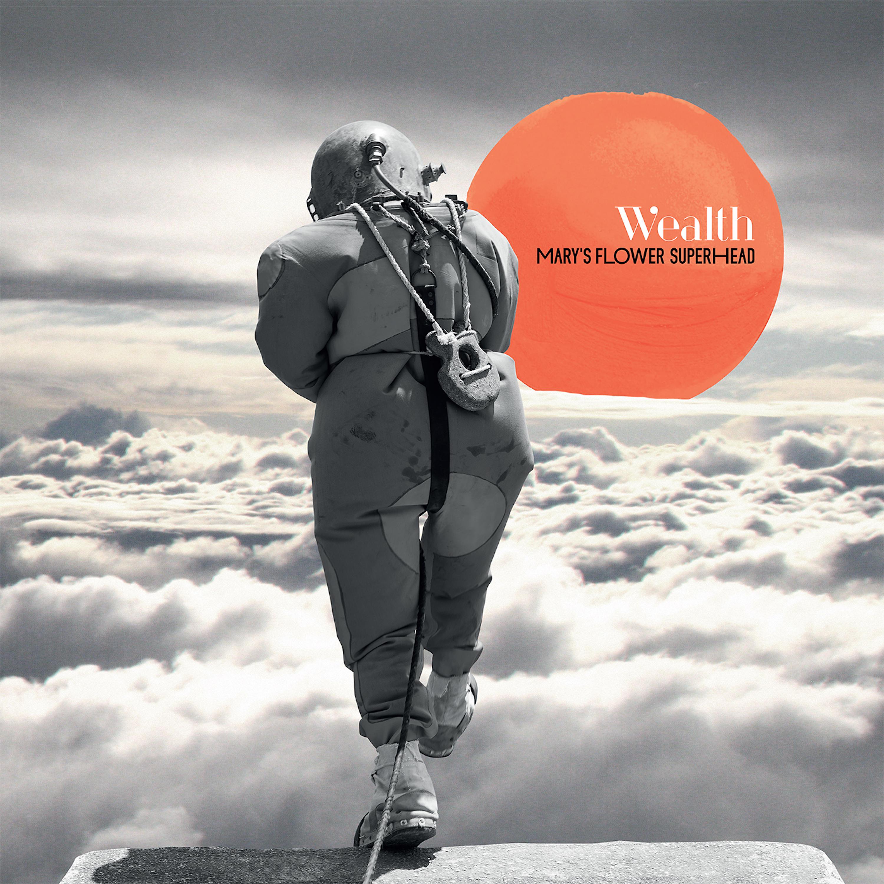 Постер альбома Wealth