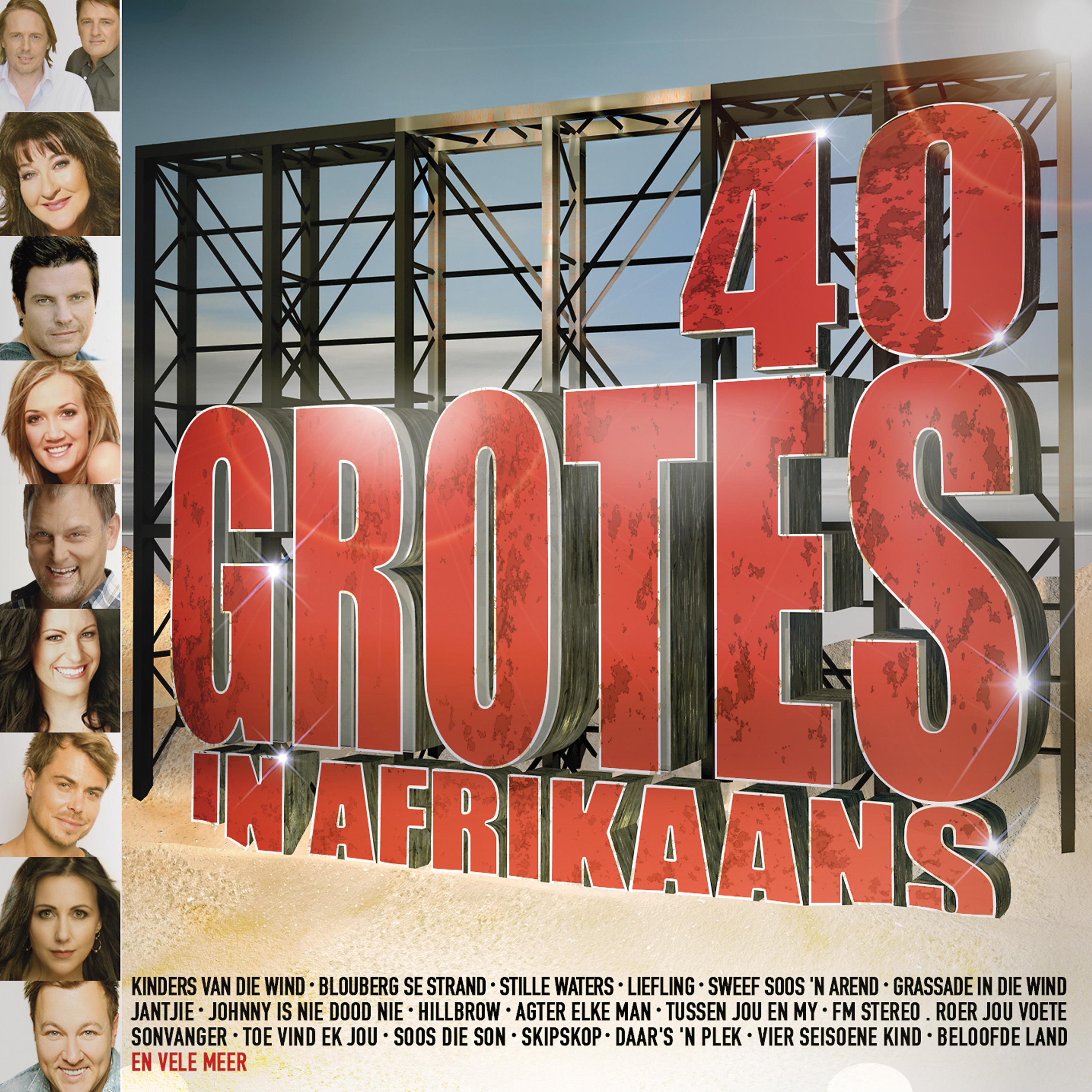 Постер альбома 40 Grotes In Afrikaans