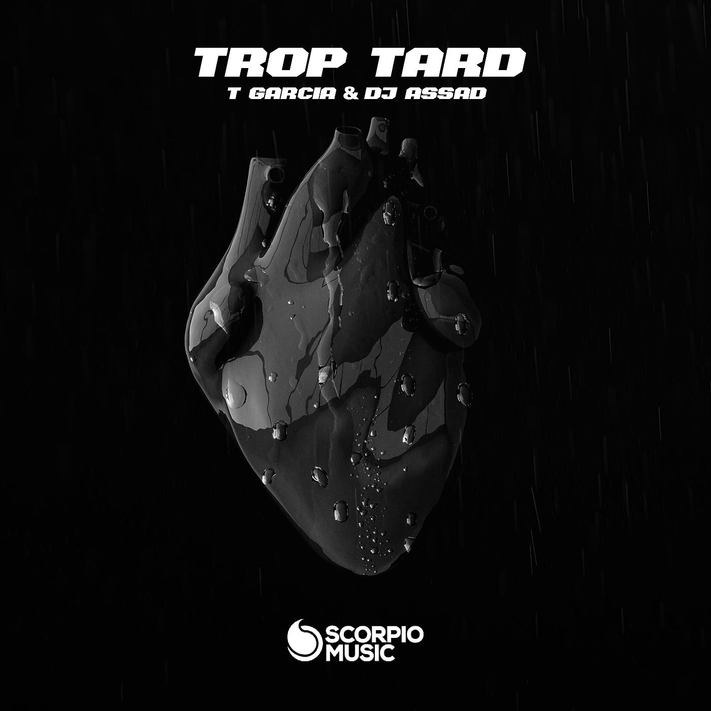 Постер альбома Trop Tard