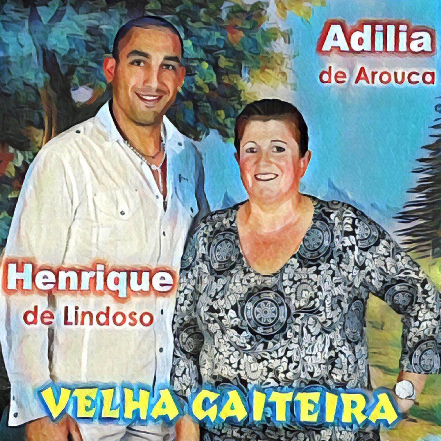 Постер альбома Velha Gaiteira