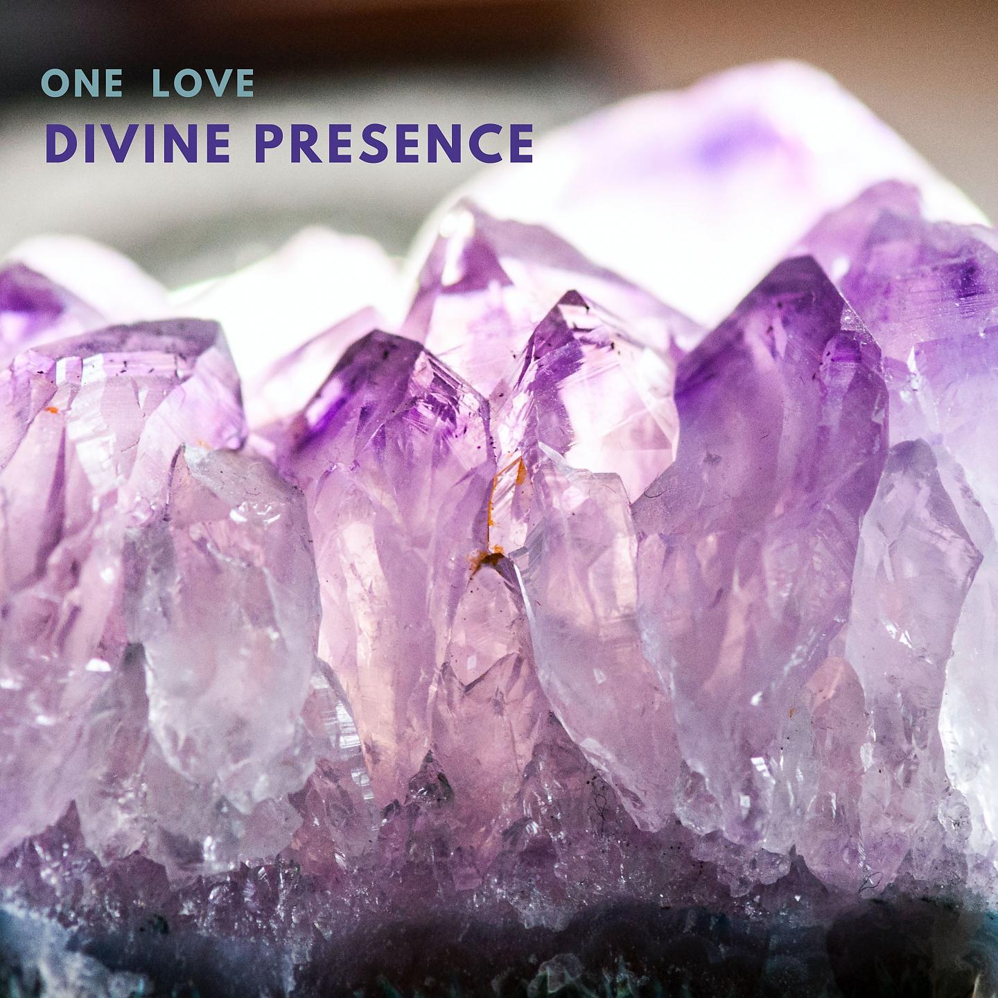 Постер альбома Divine Presence