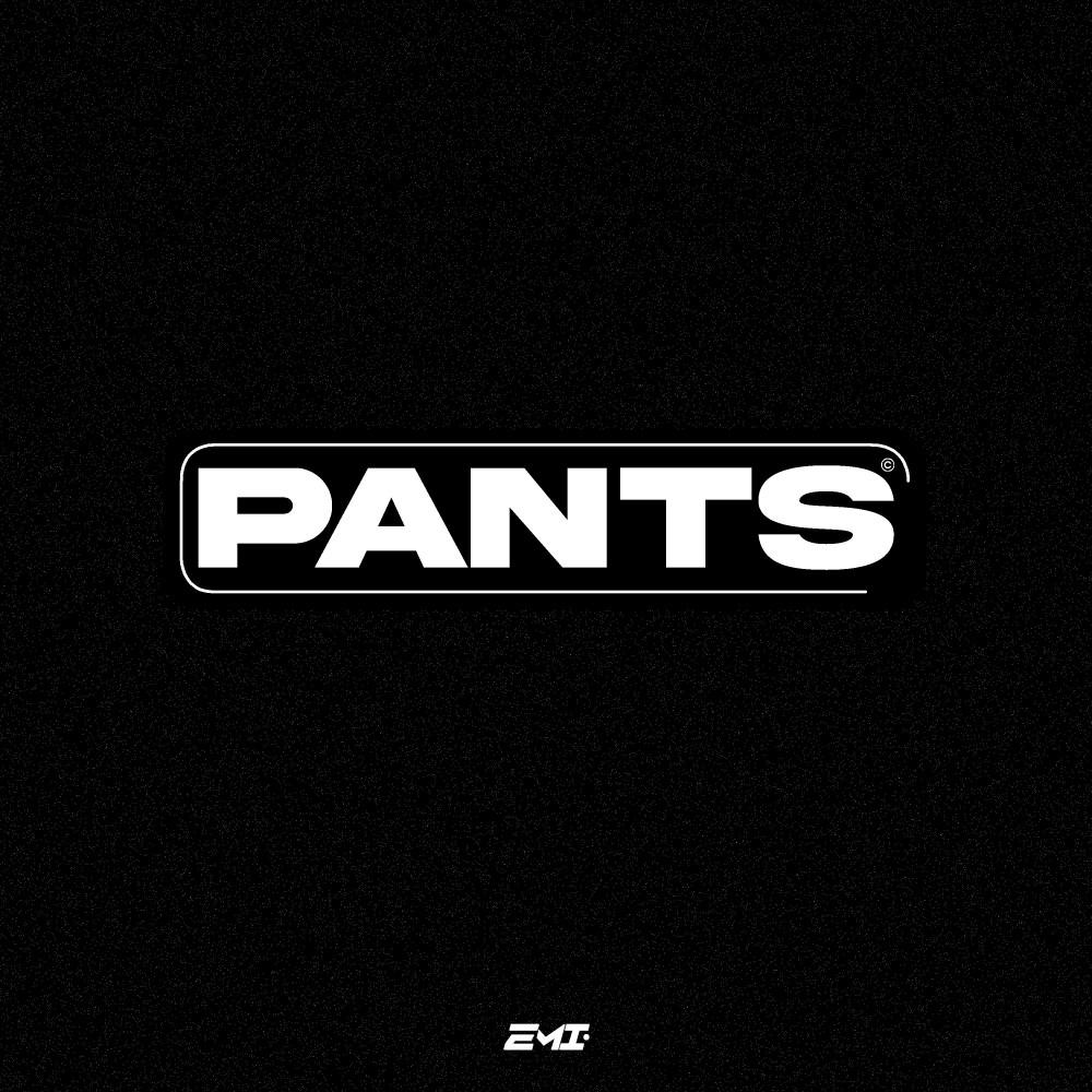 Постер альбома Pants