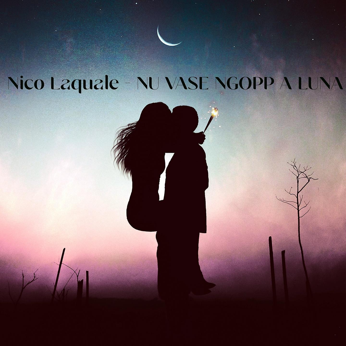 Постер альбома 'Nu vase 'ngopp 'a luna
