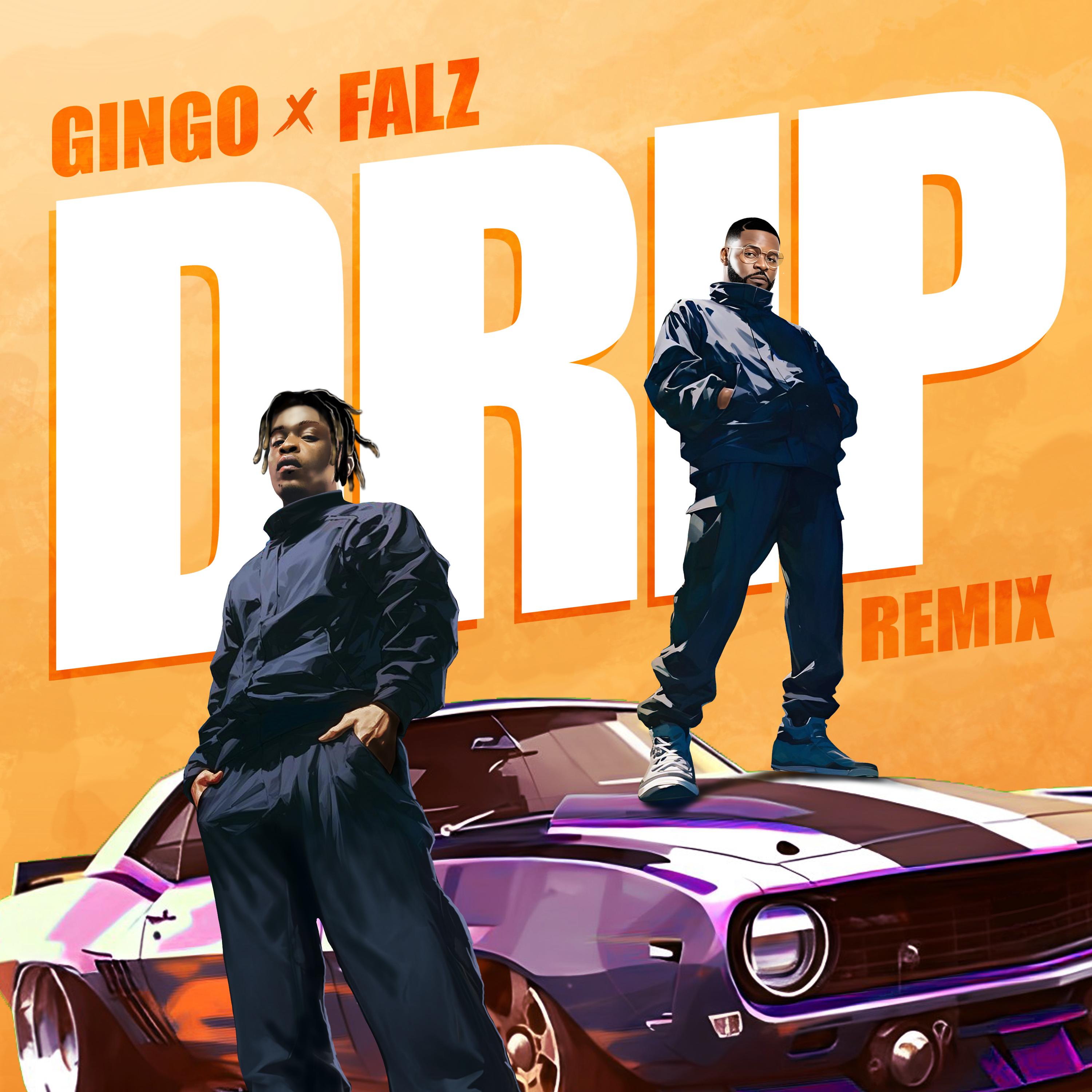 Постер альбома Drip (Remix)