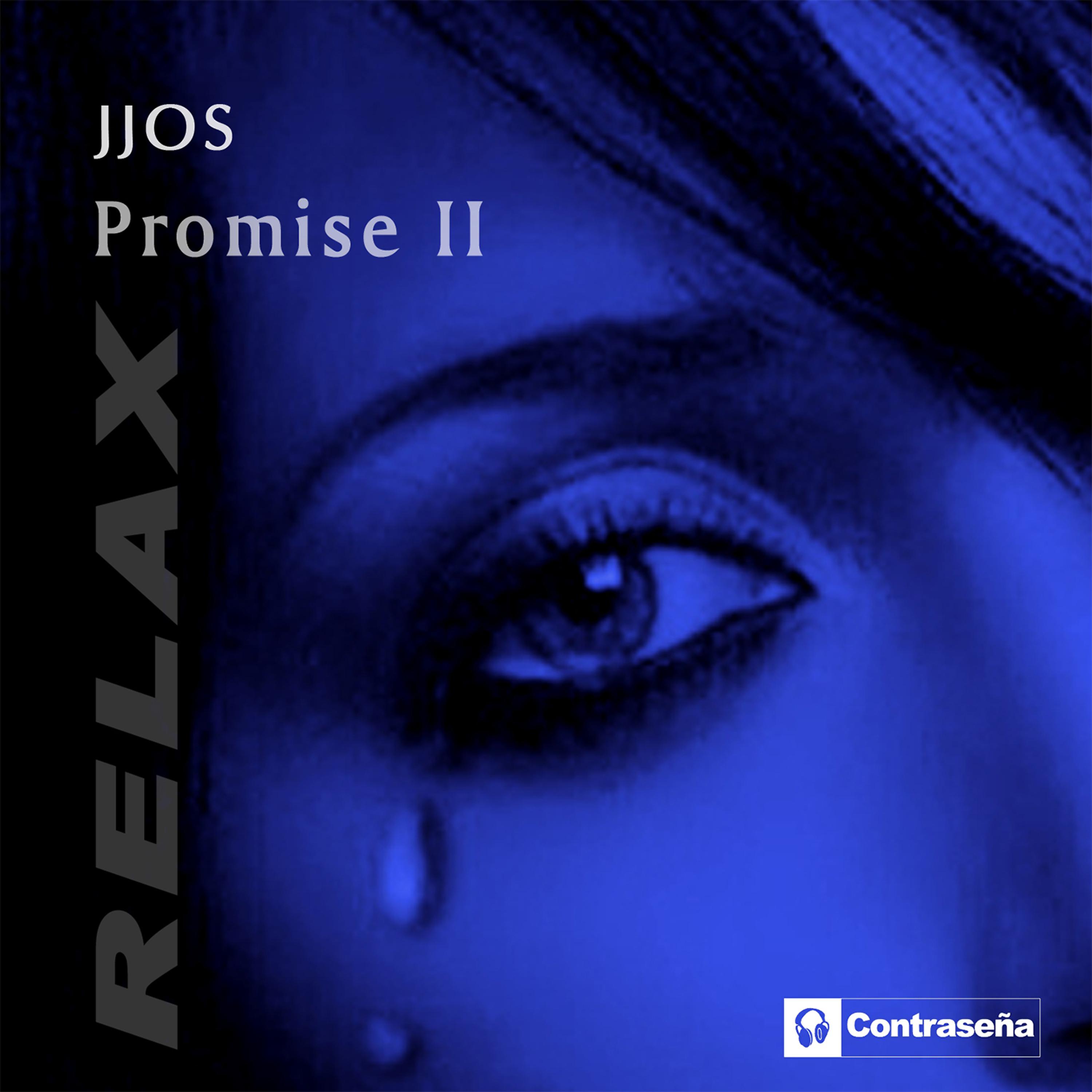 Постер альбома Promise II
