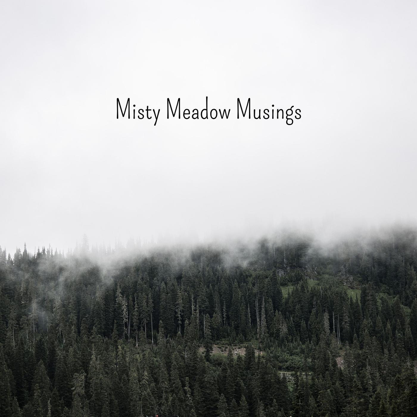 Постер альбома Misty Meadow Musings