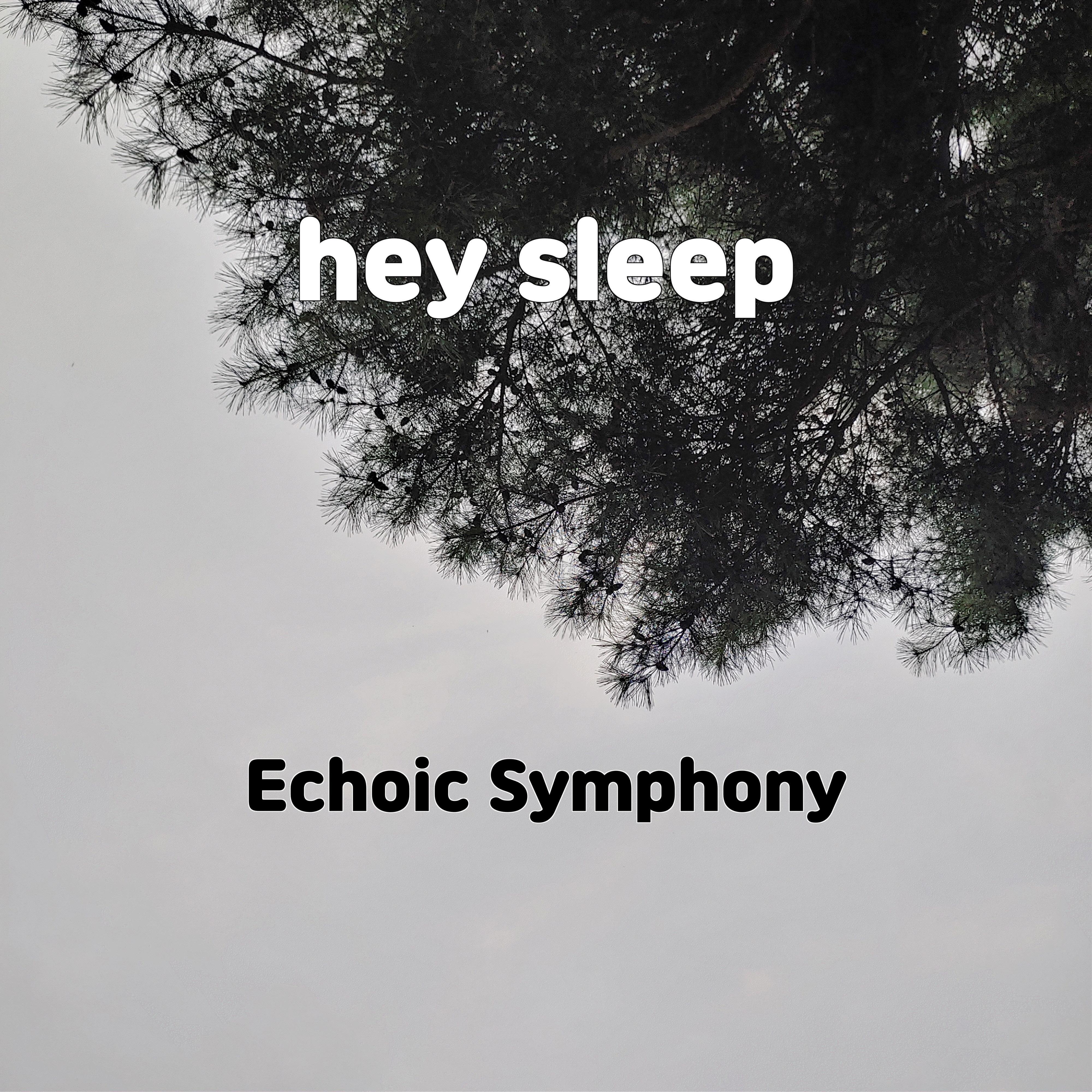 Постер альбома hey sleep