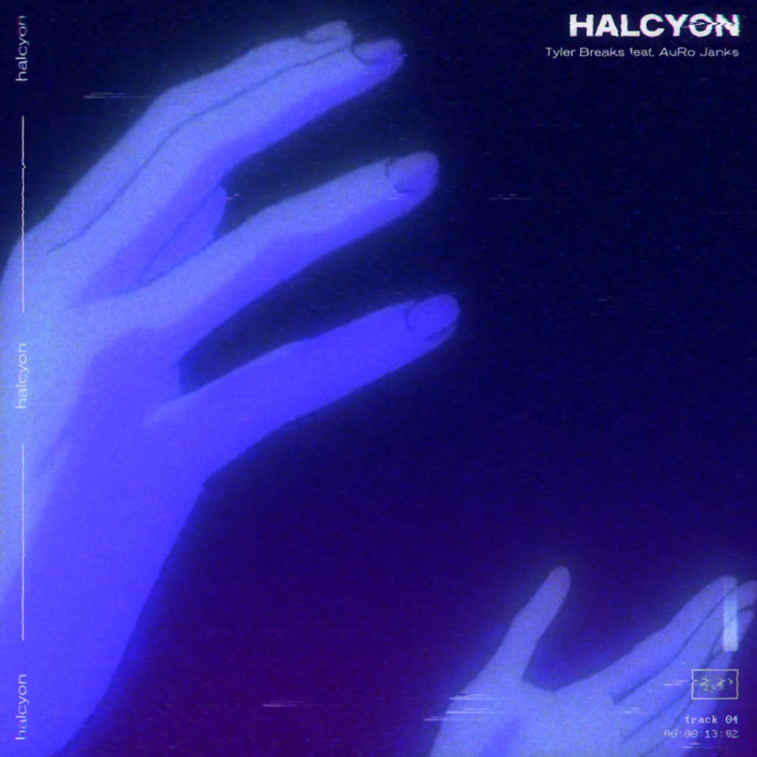 Постер альбома Halcyon (feat. AuRo Janks)
