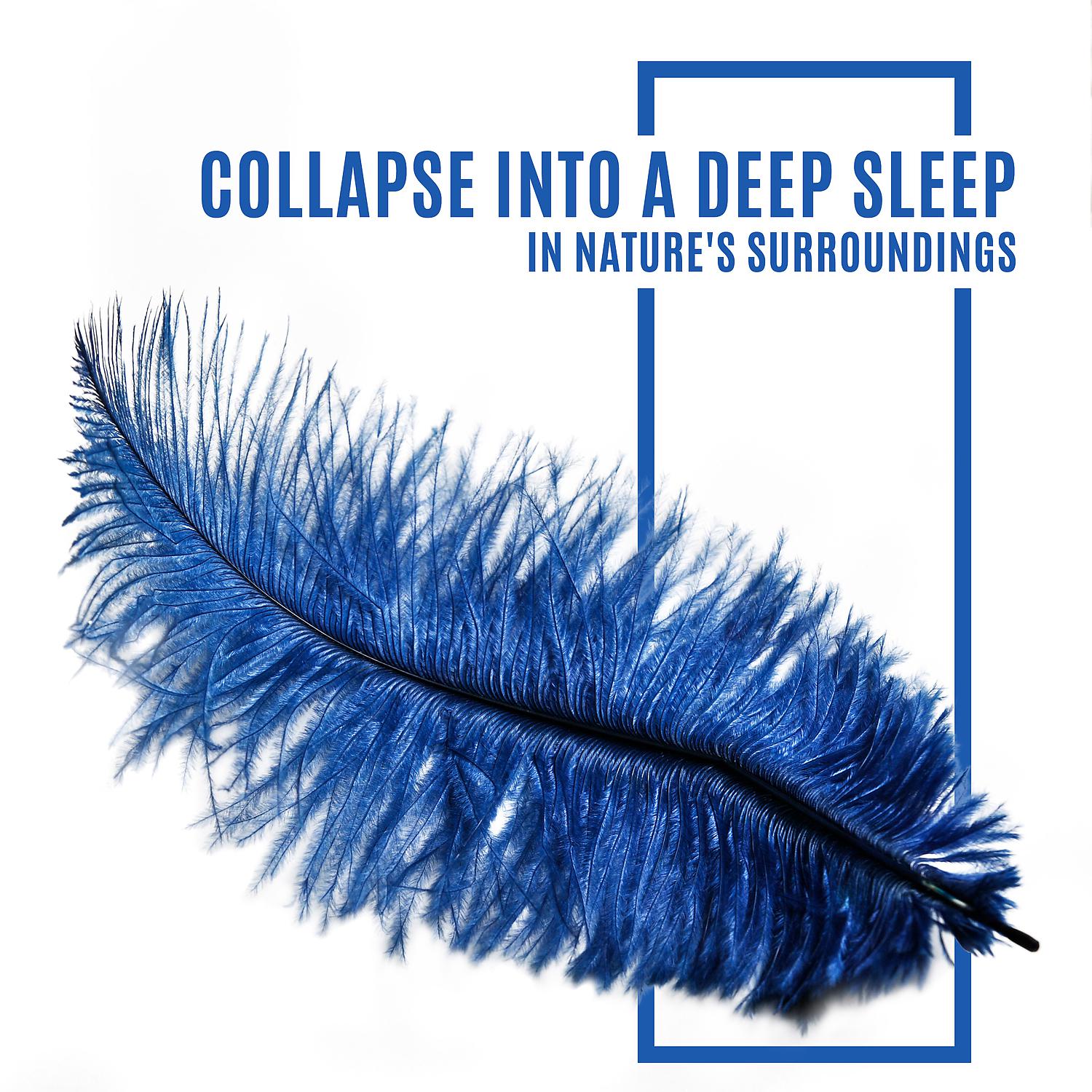 Постер альбома Collapse into a Deep Sleep in Nature's Surroundings (Restful & Deep Sleep, Soft Instrumental & Natures Tones)