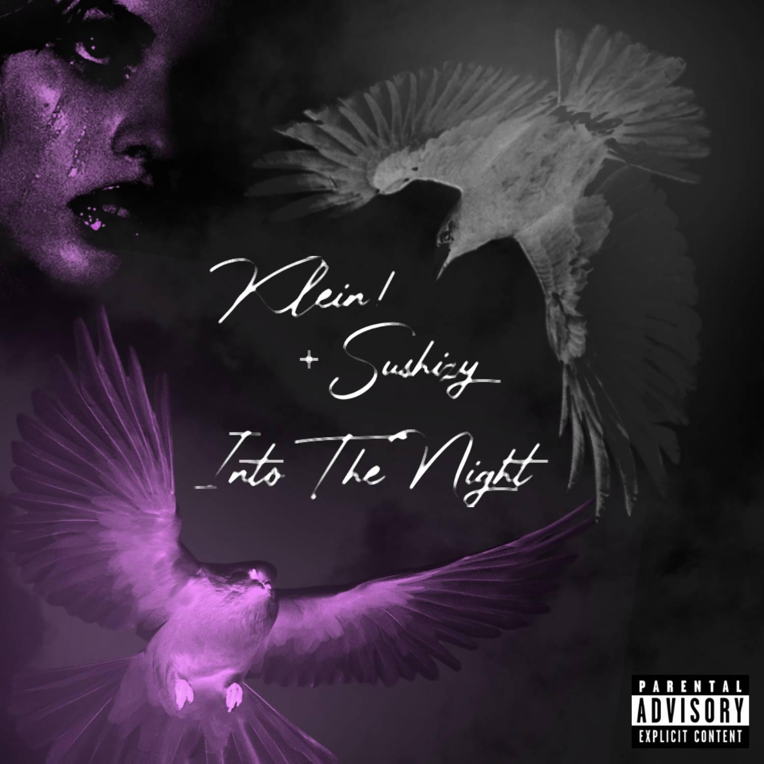 Постер альбома Into The Night
